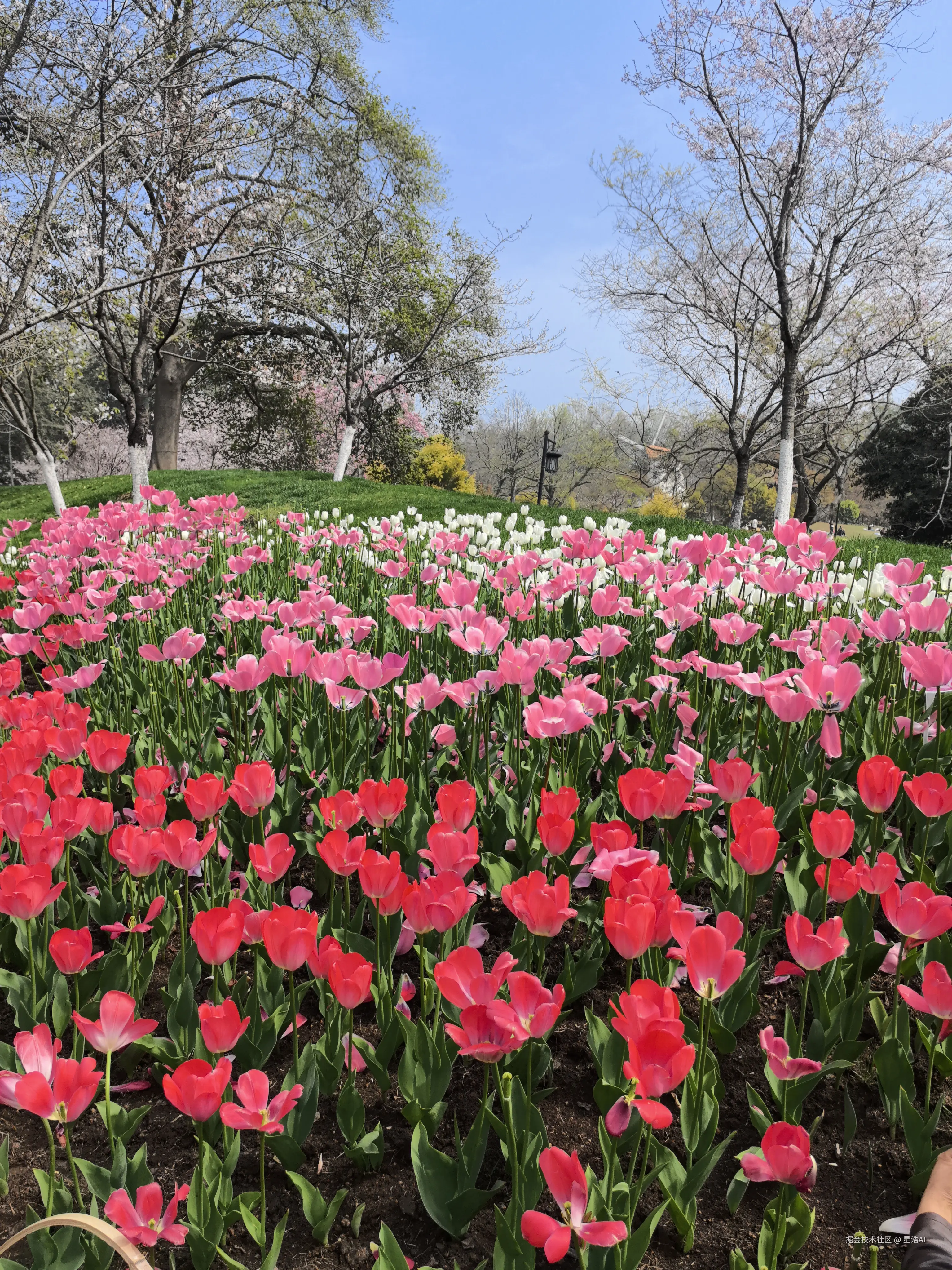 星浩AI于2026-03-22 12:00发布的图片