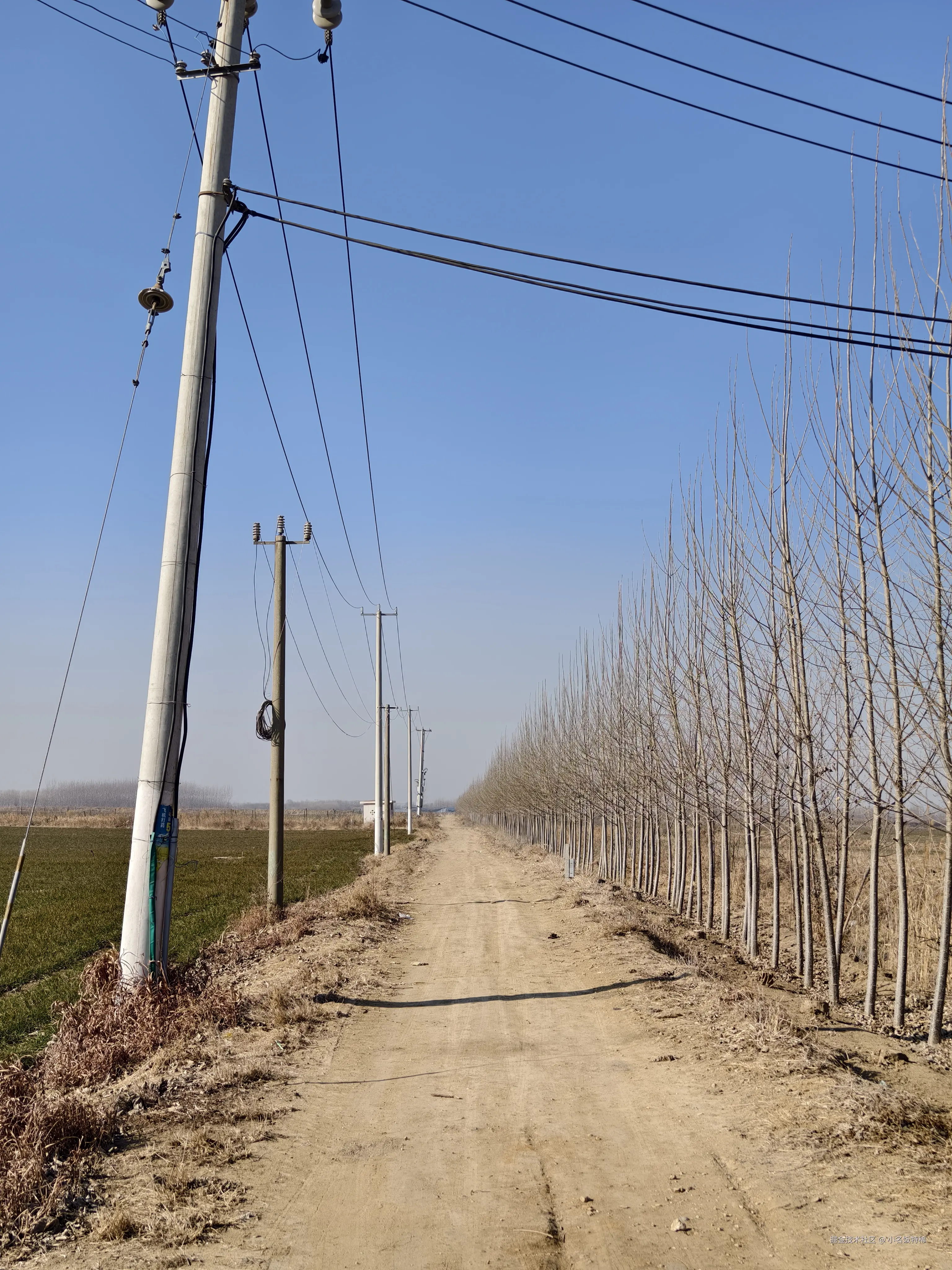 小名饭特稀于2025-02-10 17:44发布的图片