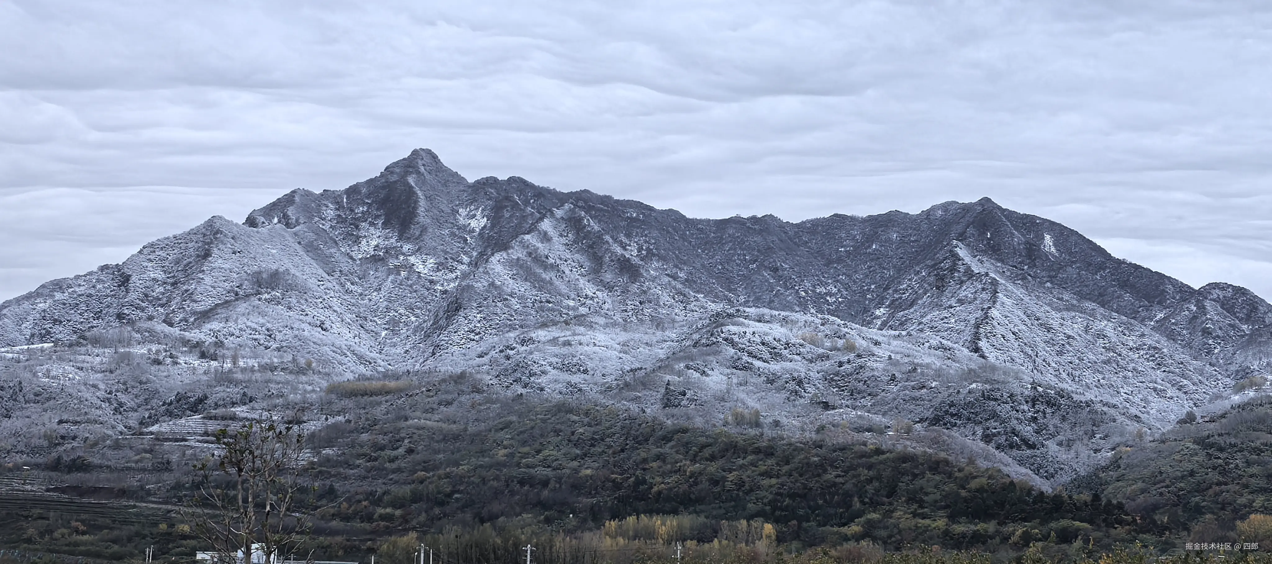 四郎于2025-11-17 09:17发布的图片