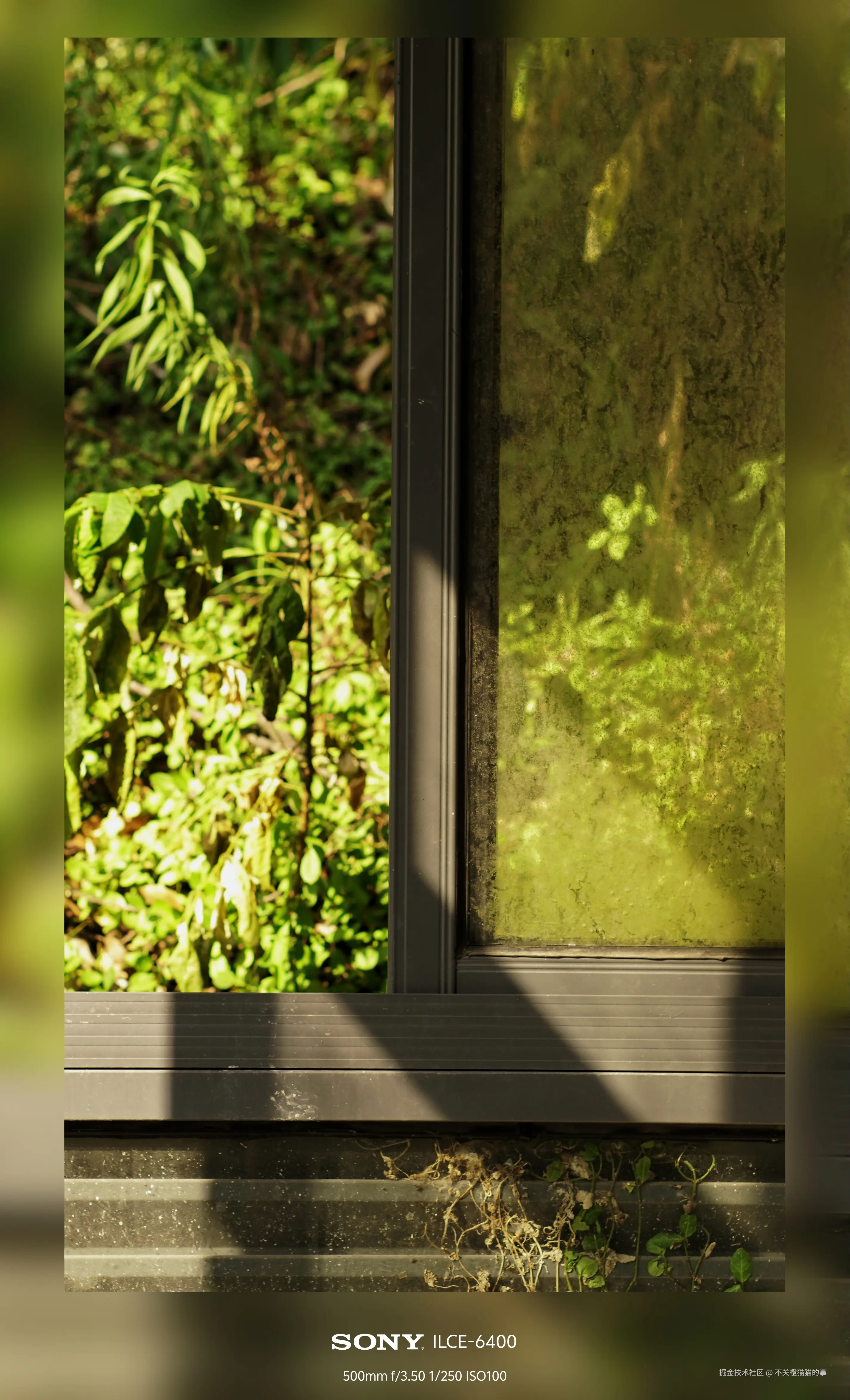 不关橙猫猫的事于2024-08-06 16:58发布的图片