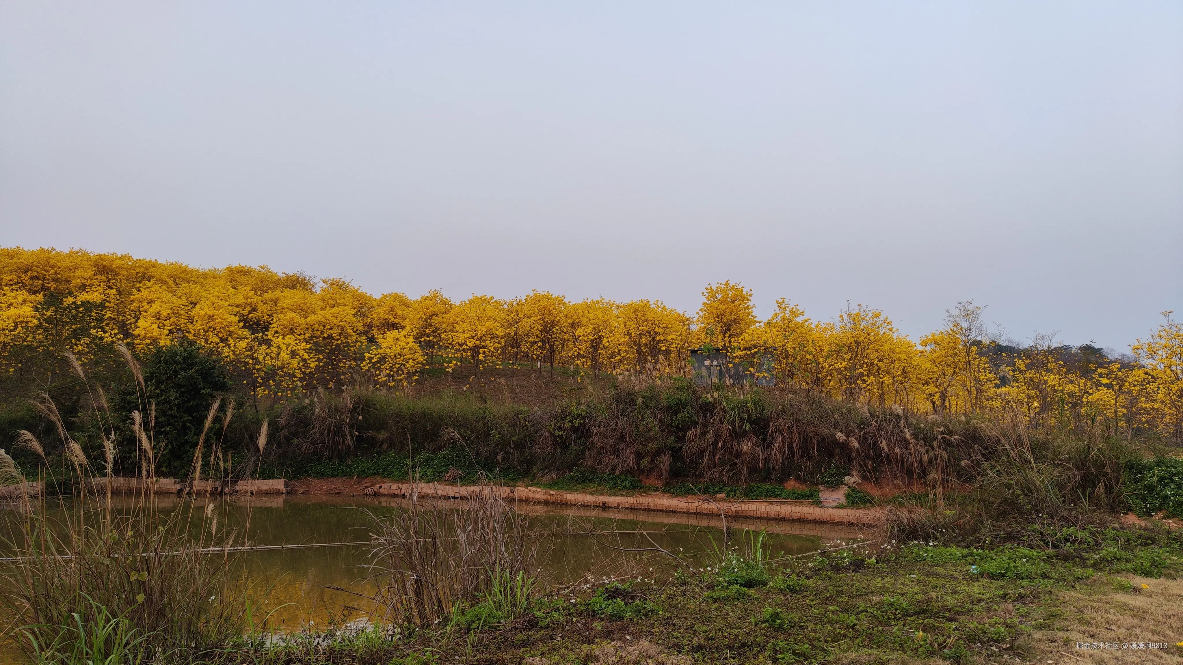 媛媛啊9813于2025-03-21 07:07发布的图片