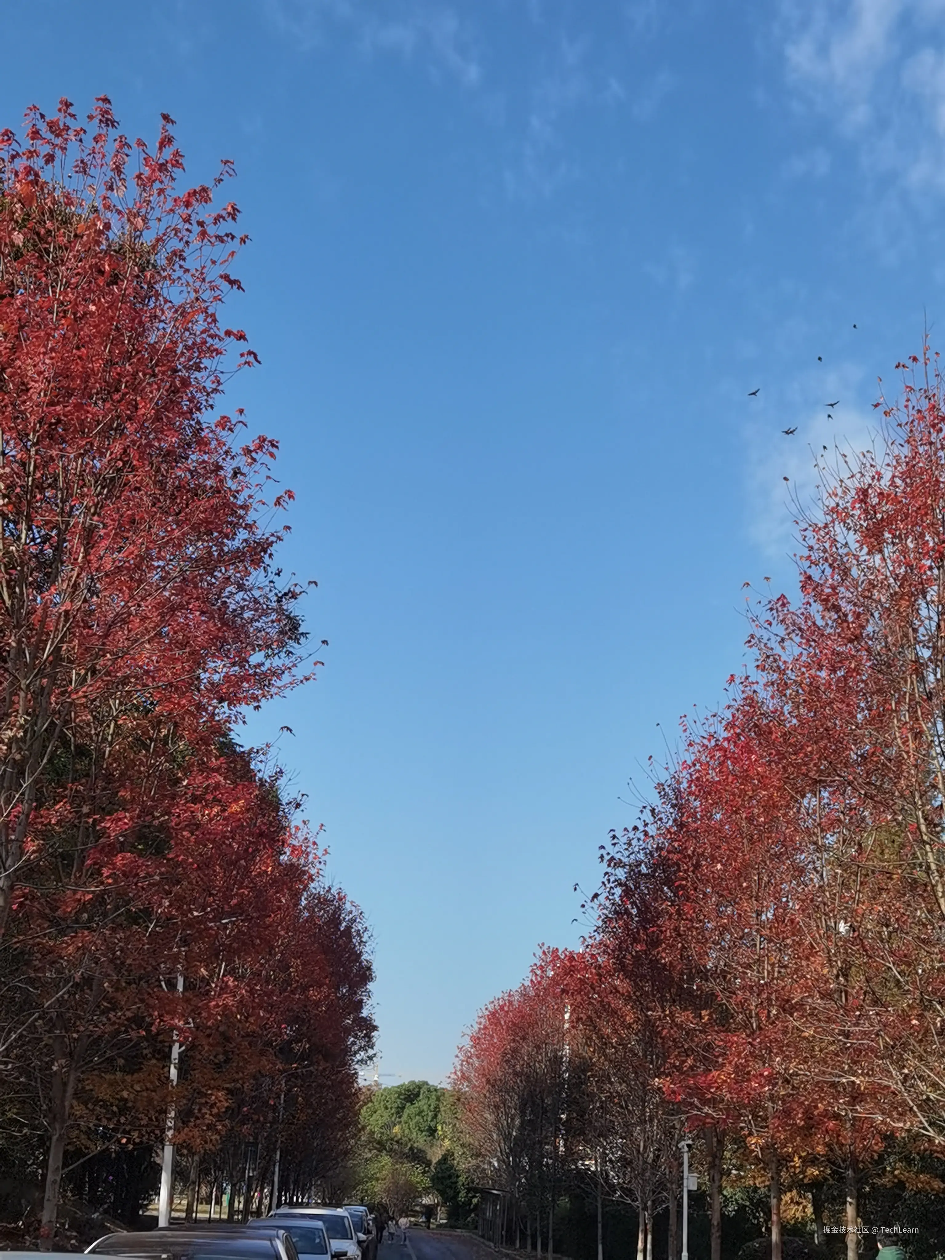 TechLearn于2024-11-30 09:27发布的图片