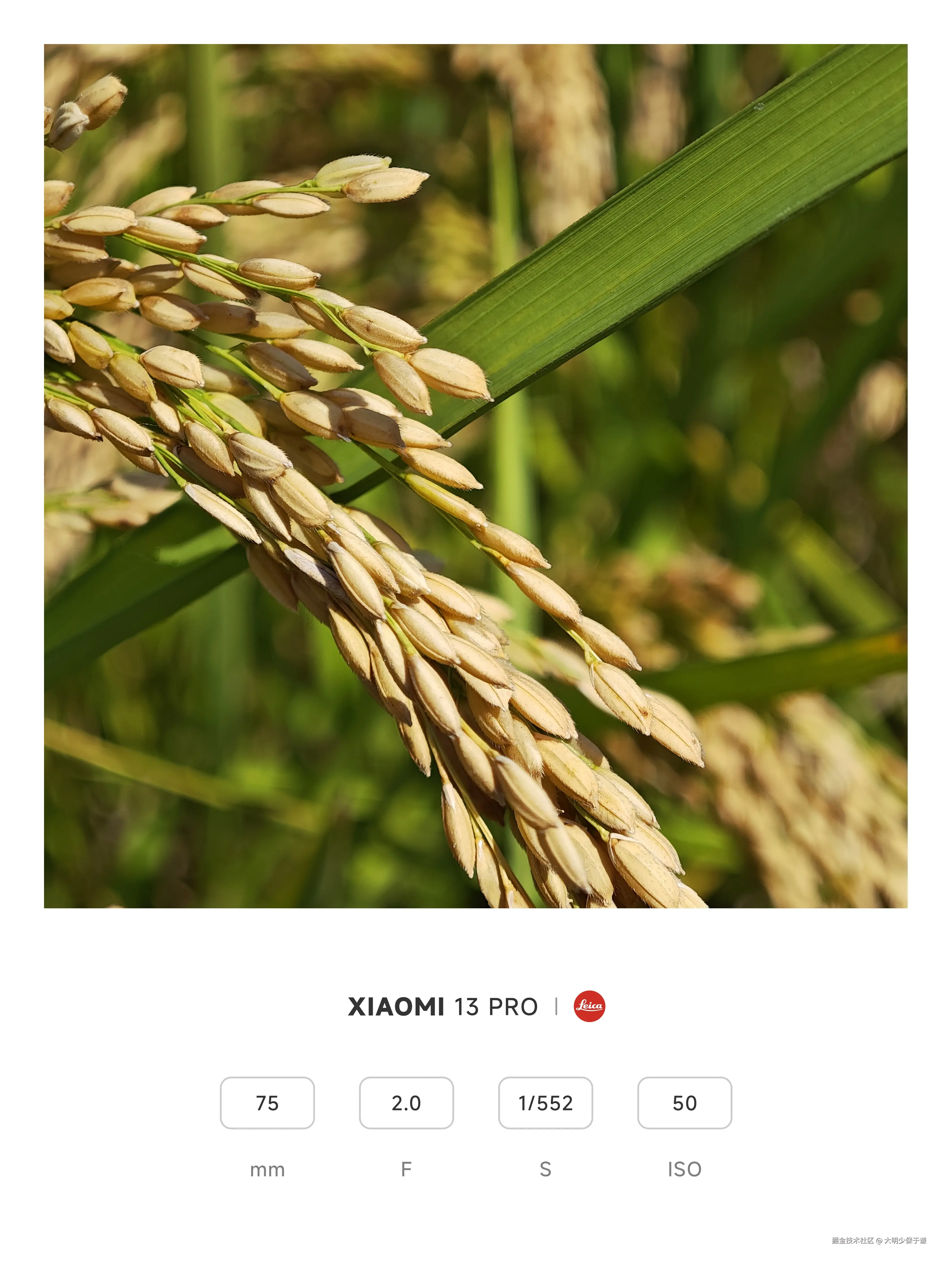 大明少保于谦于2024-11-08 11:32发布的图片