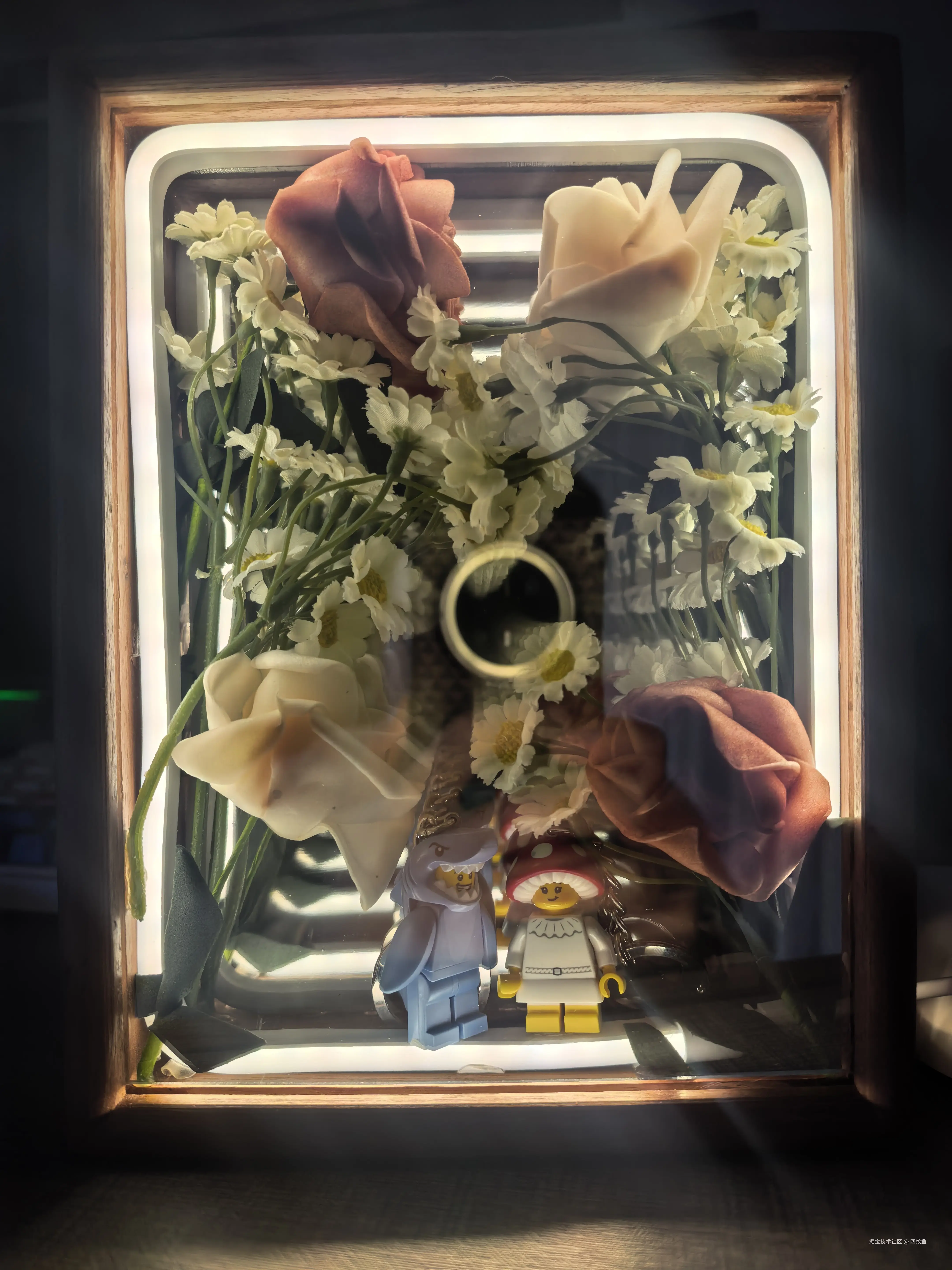 四纹鱼于2026-04-08 11:31发布的图片