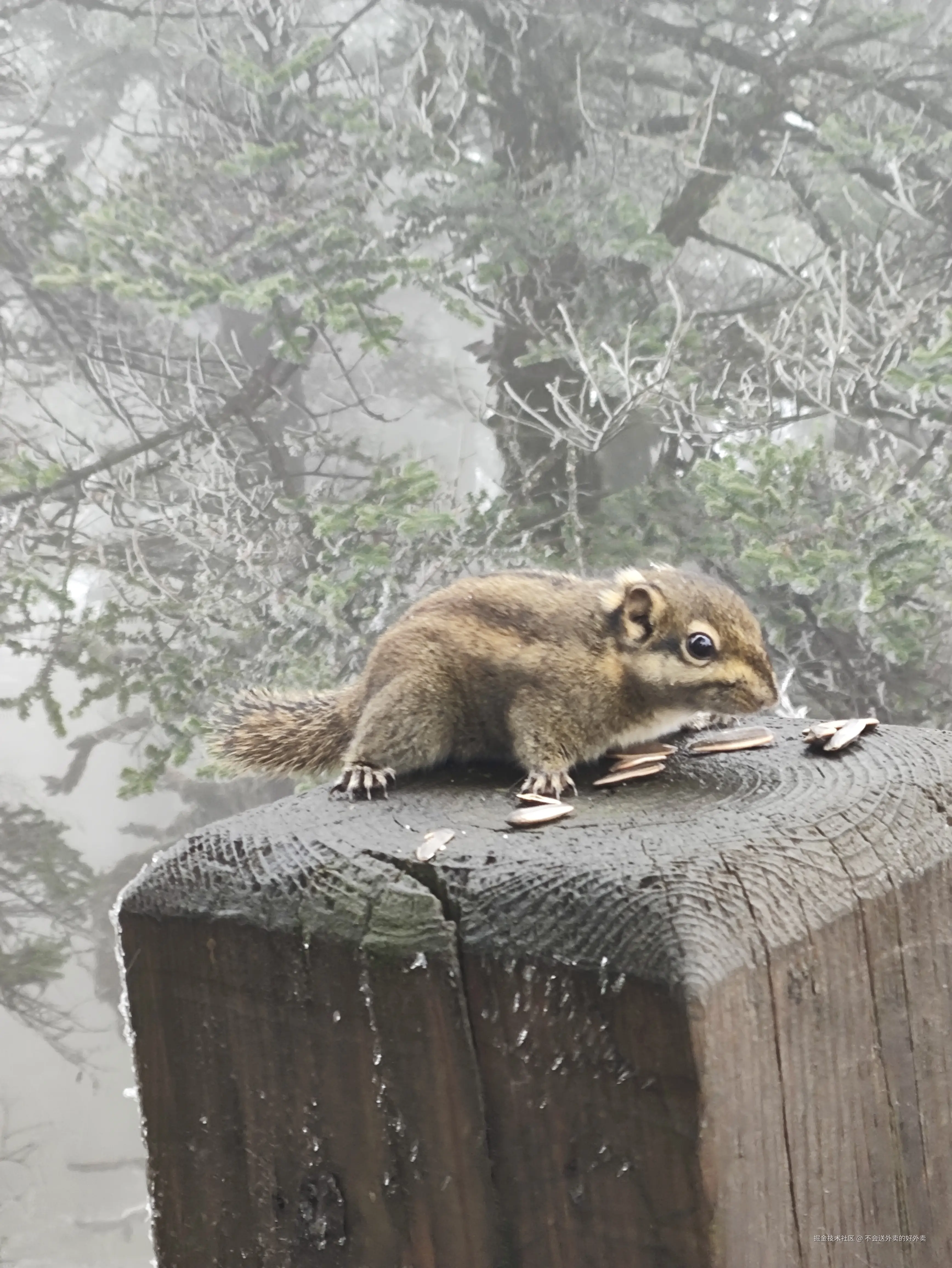 不会送外卖的好外卖于2024-10-26 20:14发布的图片