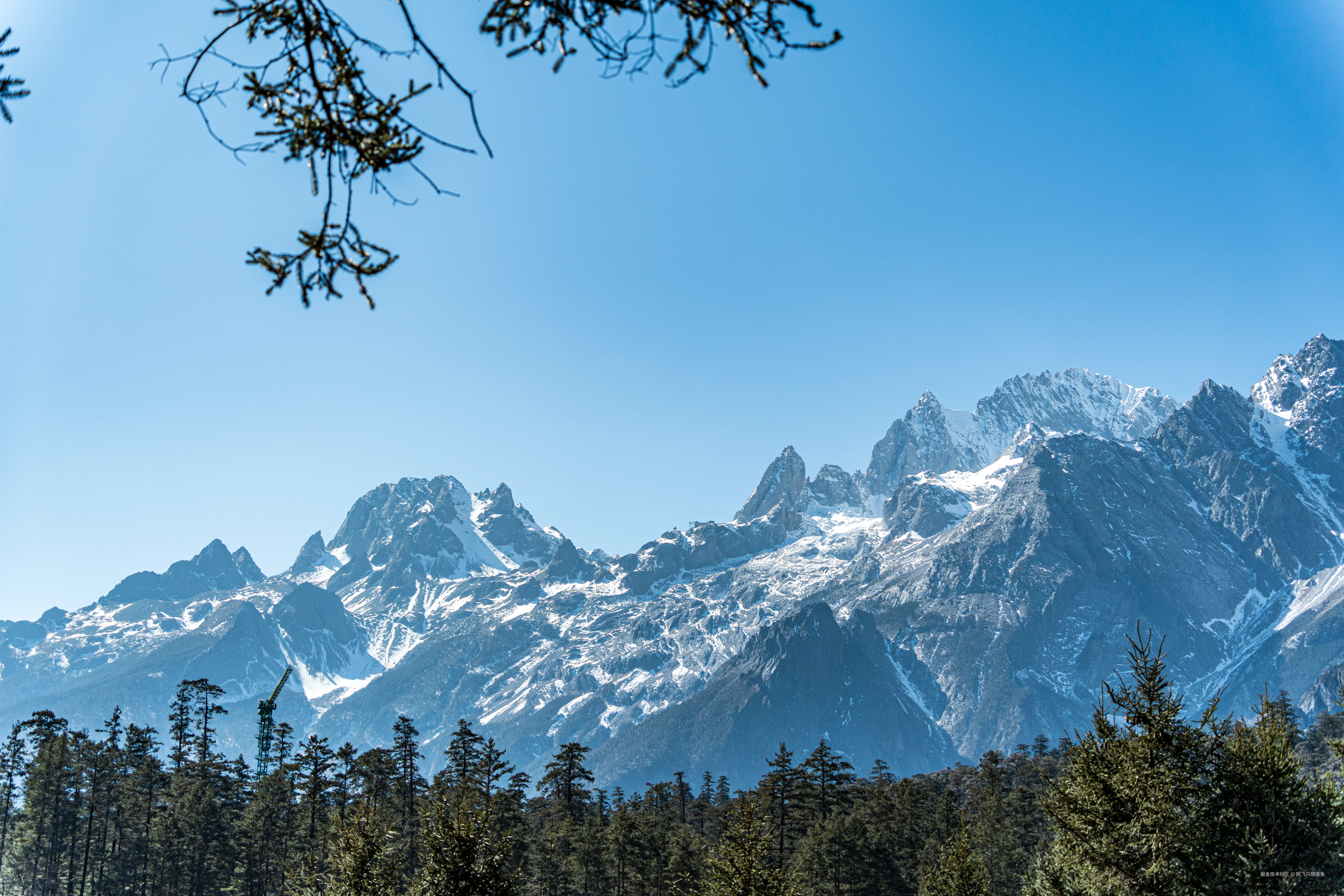 阿飞只想摸鱼于2026-02-11 14:53发布的图片