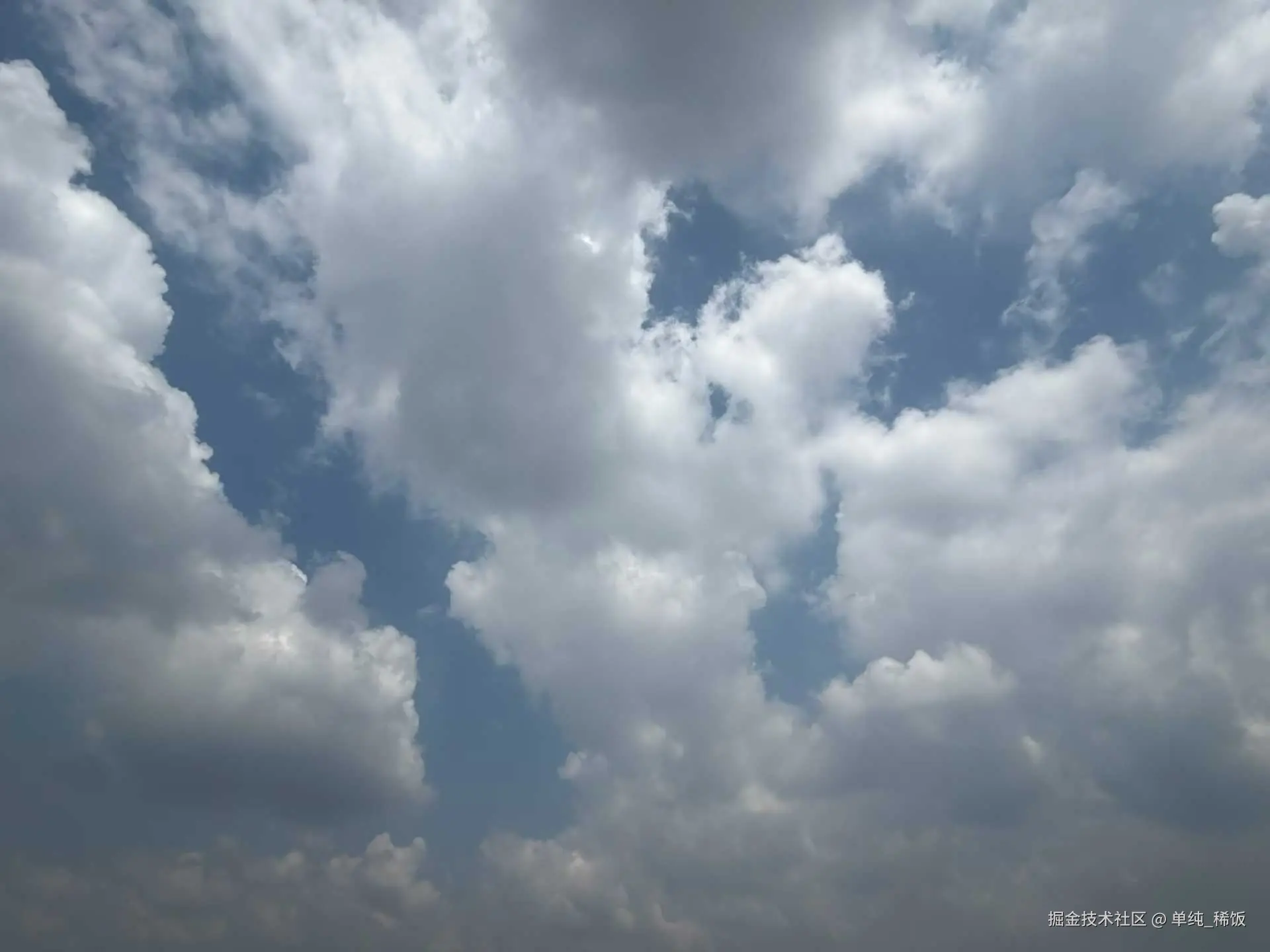 单纯_稀饭于2026-03-28 13:23发布的图片