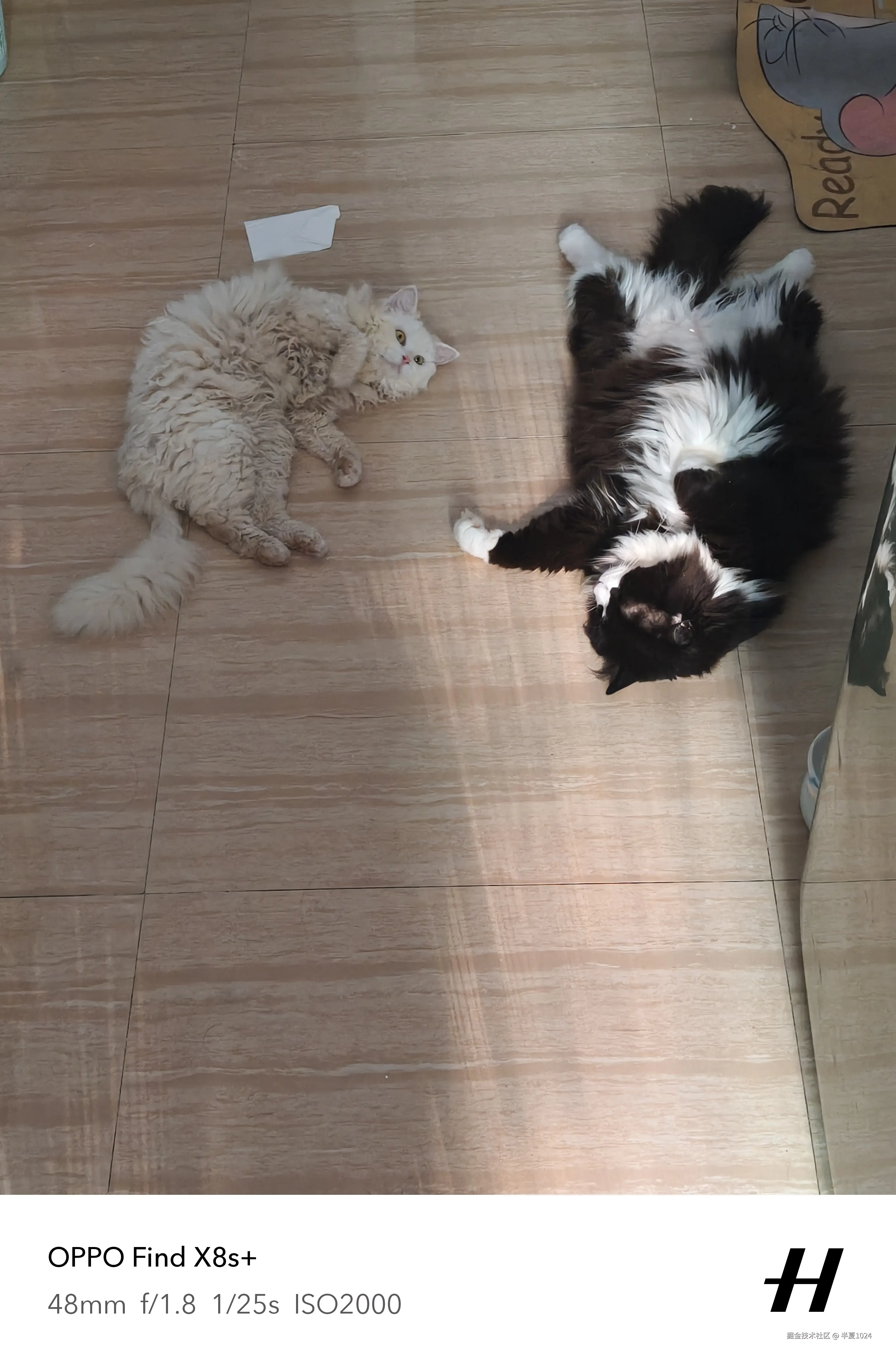 半夏1024于2025-07-07 14:25发布的图片