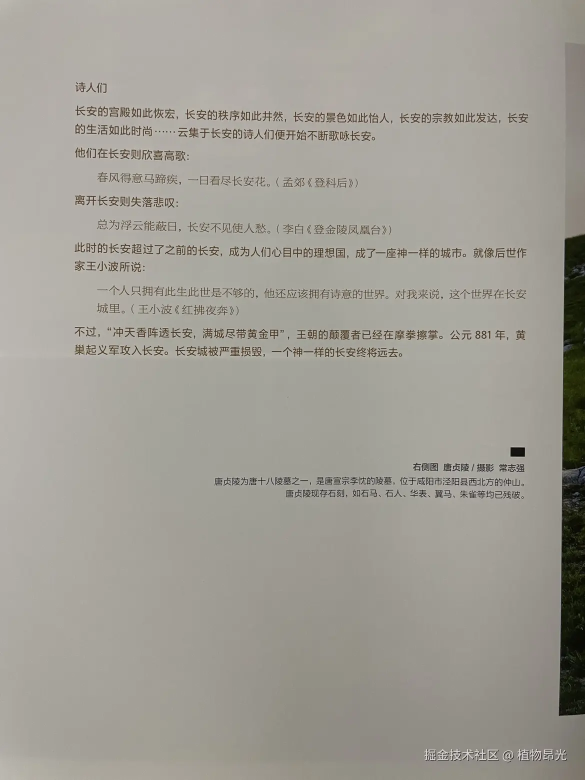 植物昂光于2026-04-01 20:37发布的图片