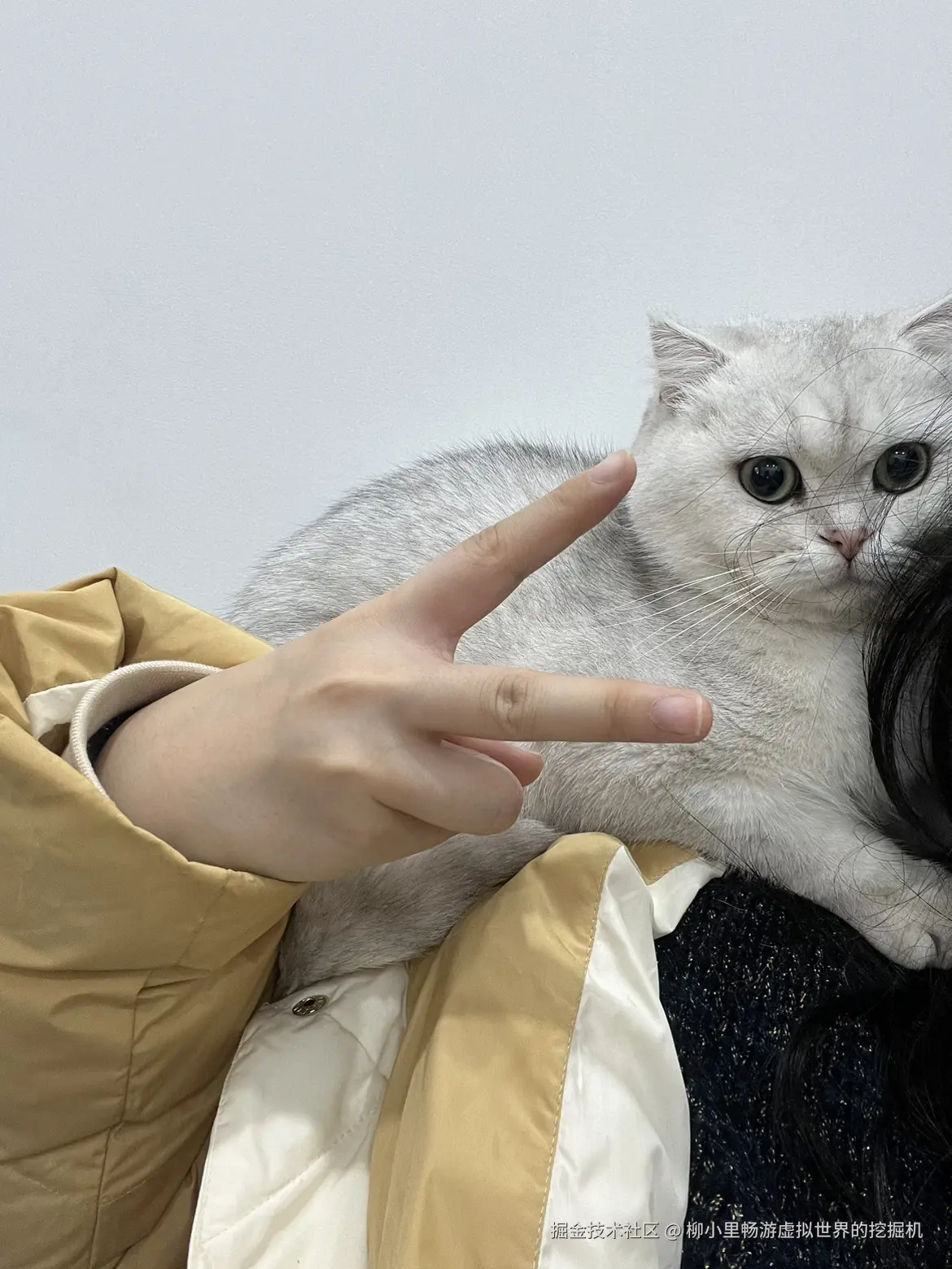 柳小里畅游虚拟世界的挖掘机于2025-11-18 16:34发布的图片