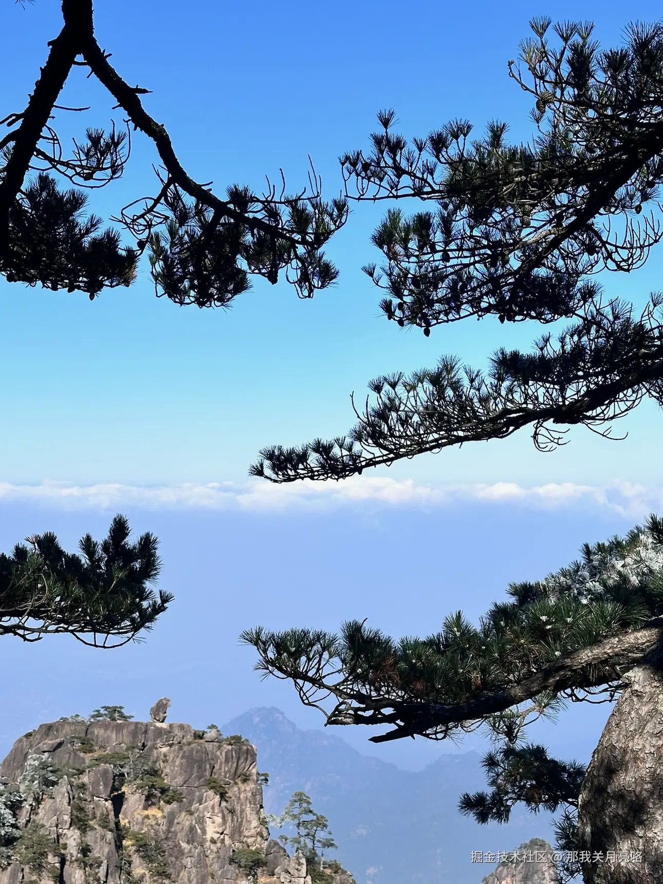 那我关月亮咯于2024-12-19 17:05发布的图片