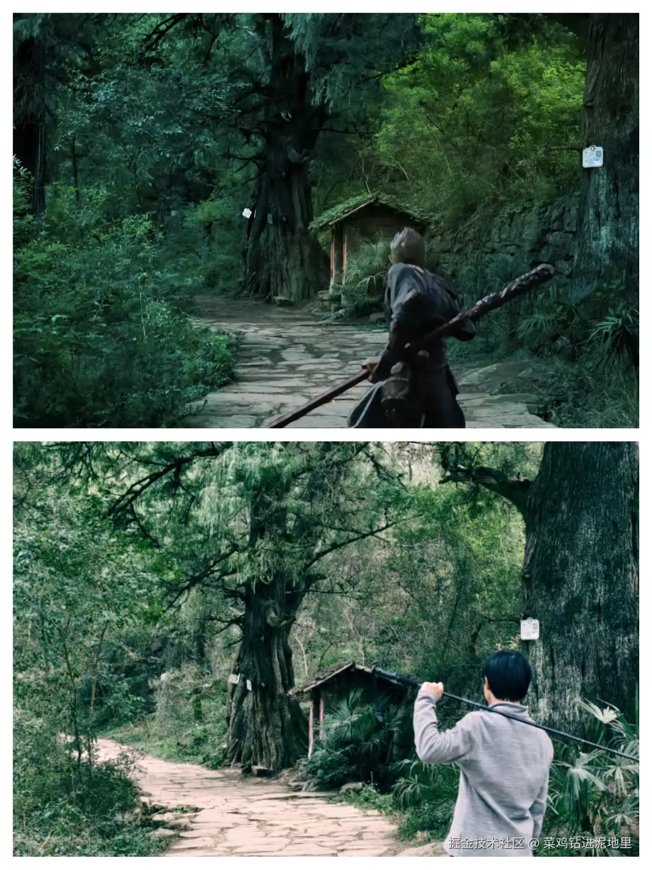 菜鸡钻进泥地里于2026-02-02 09:29发布的图片