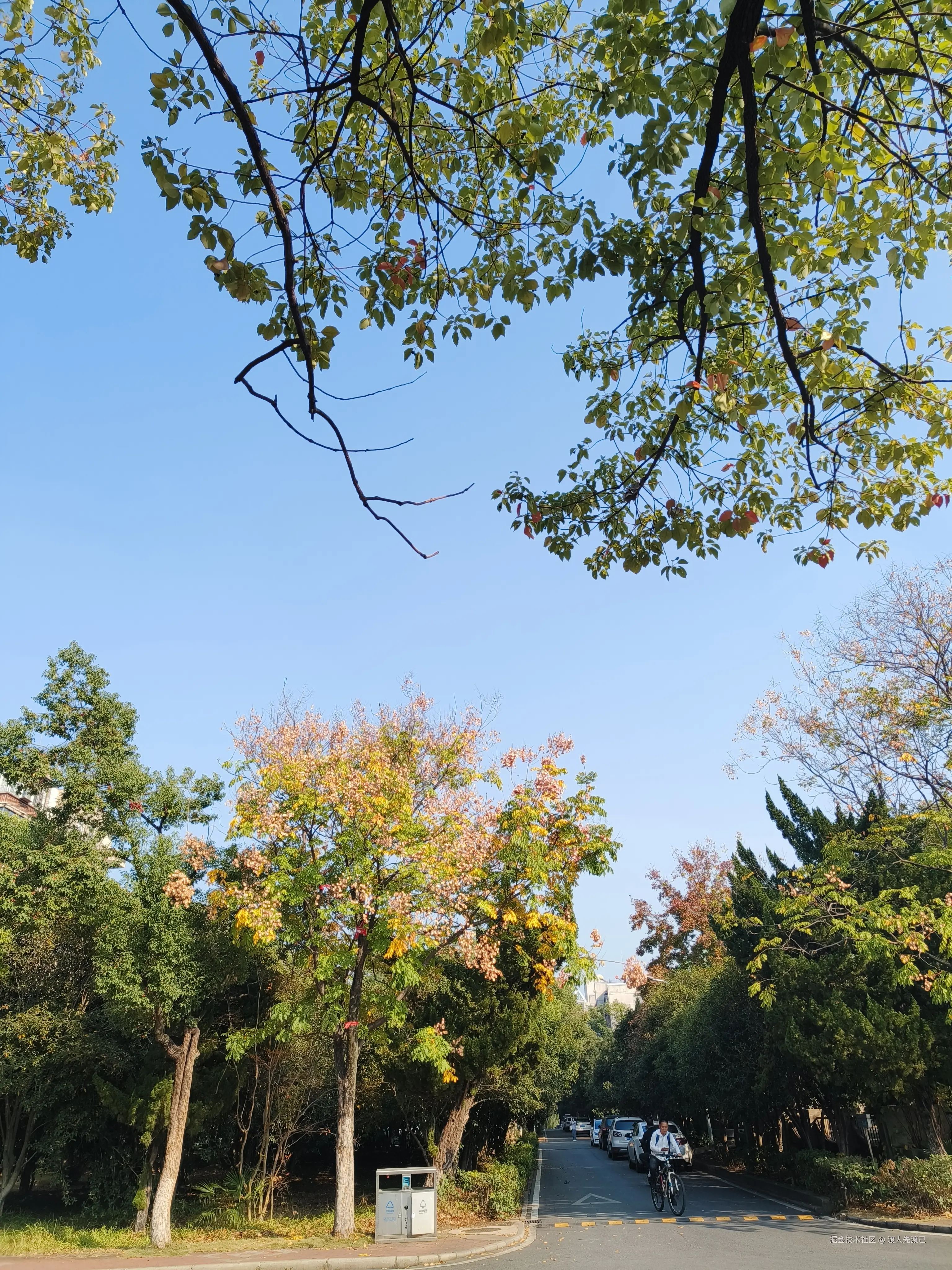 渡人先渡己于2024-11-11 11:10发布的图片