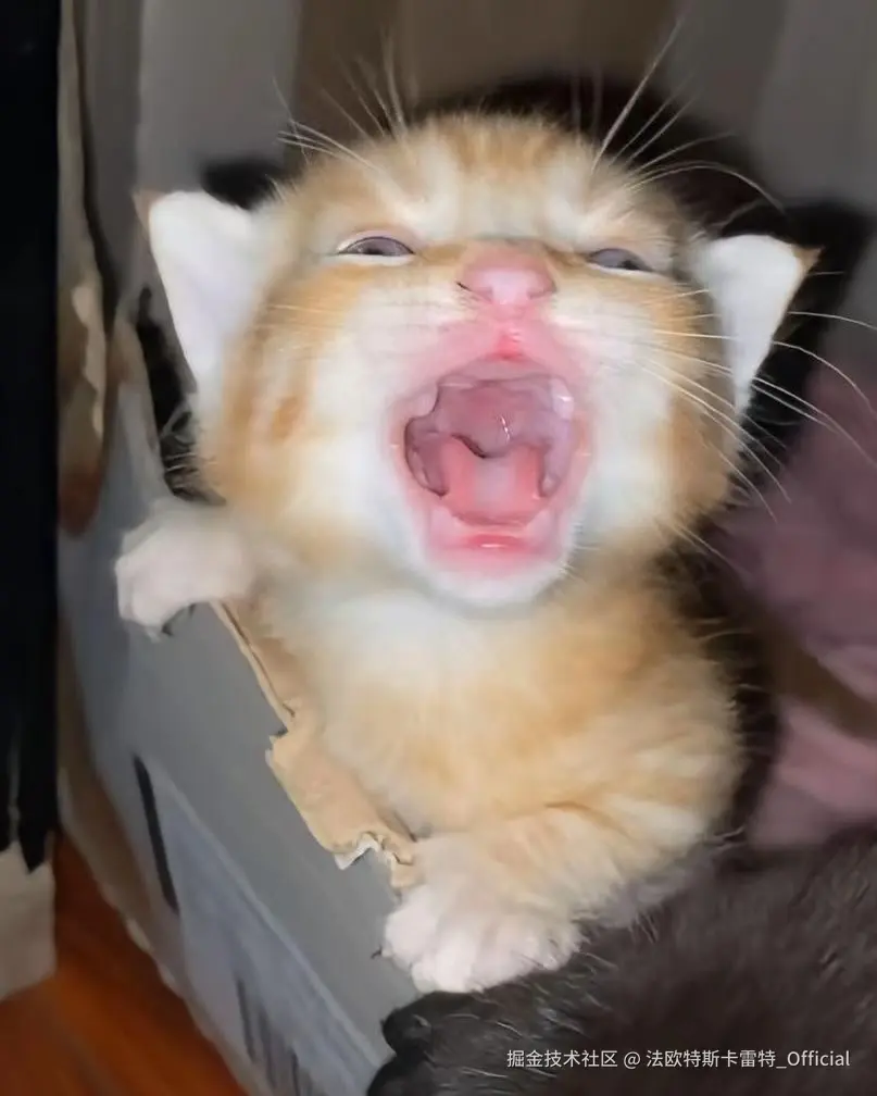 法欧特斯卡雷特_Official于2024-11-01 10:44发布的图片