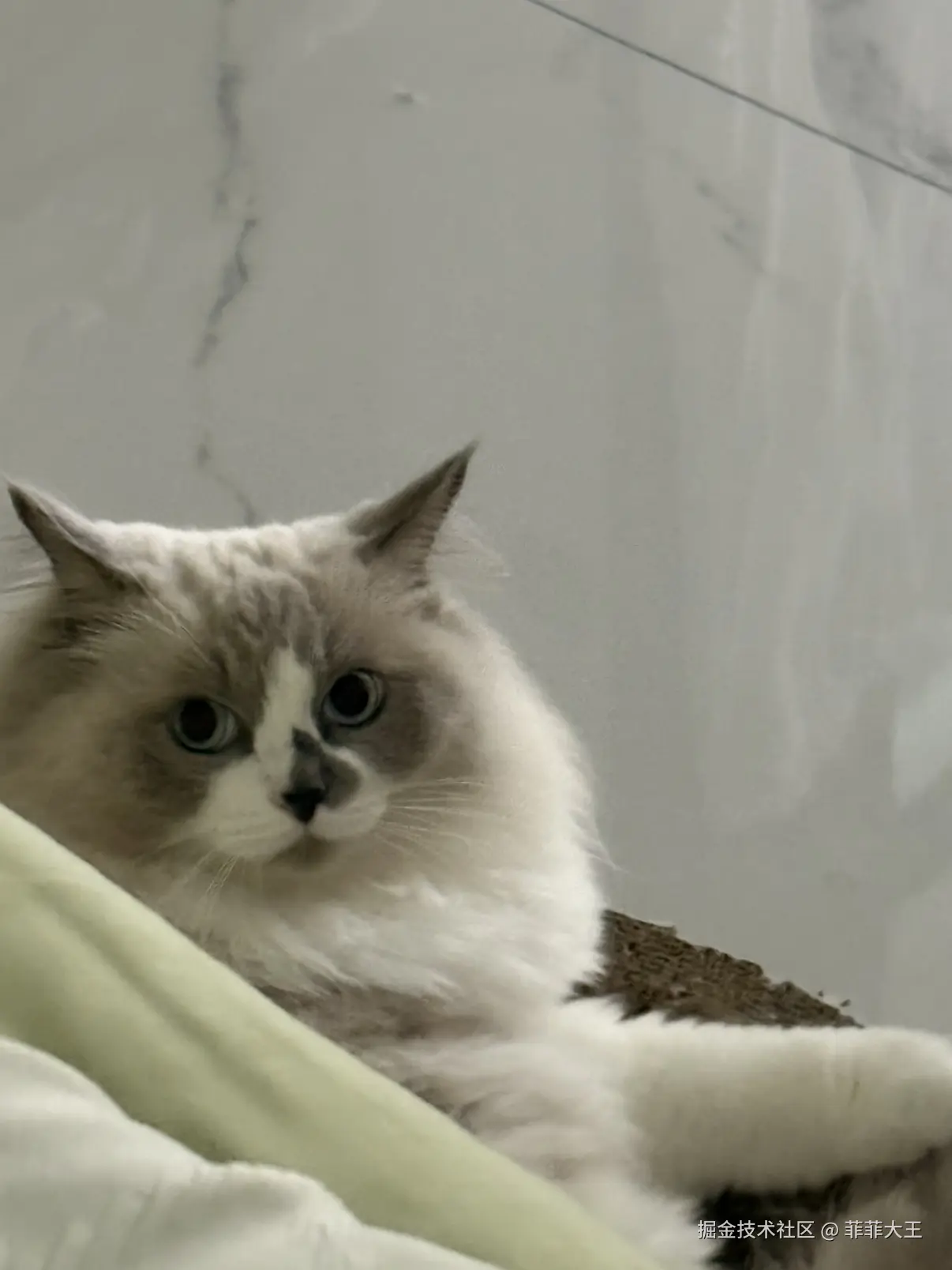 菲菲大王于2025-11-18 11:09发布的图片