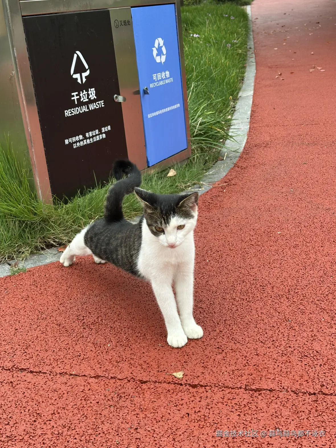 蒜鸟蒜鸟都不泳衣于2025-11-21 09:51发布的图片