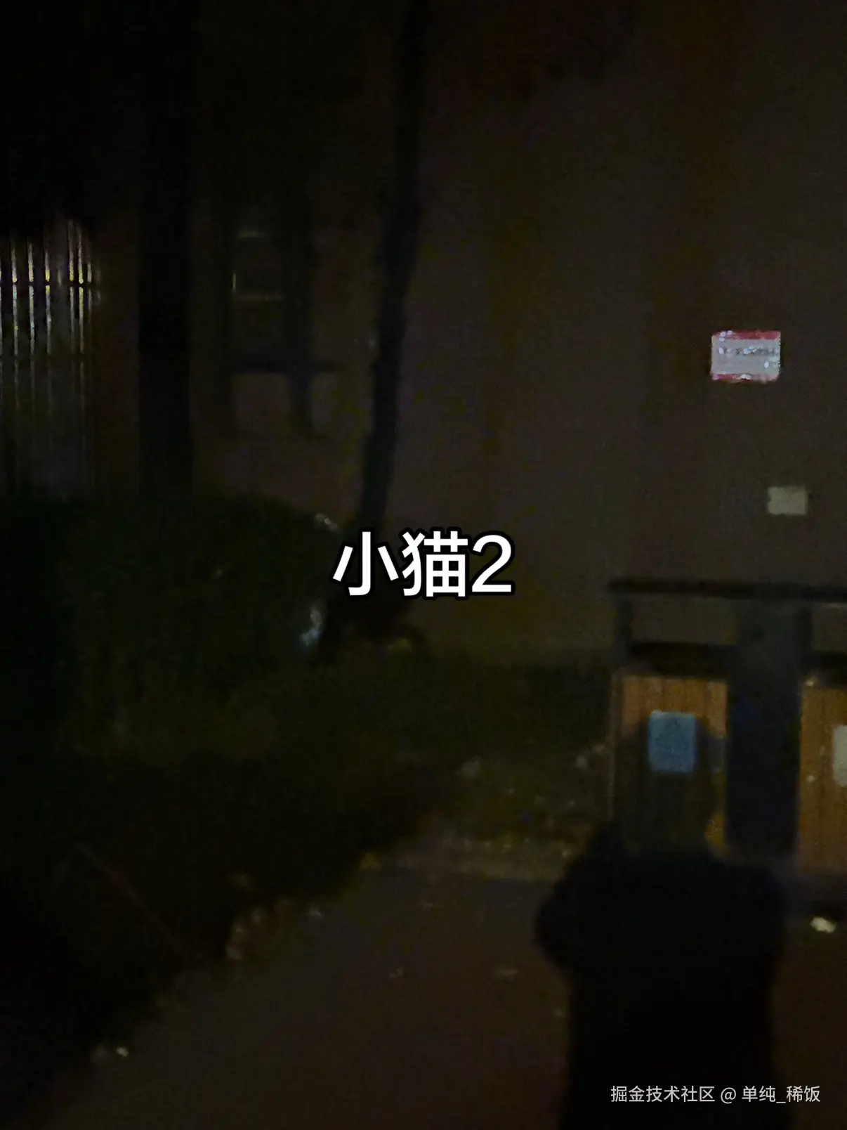 单纯_稀饭于2026-03-21 08:03发布的图片