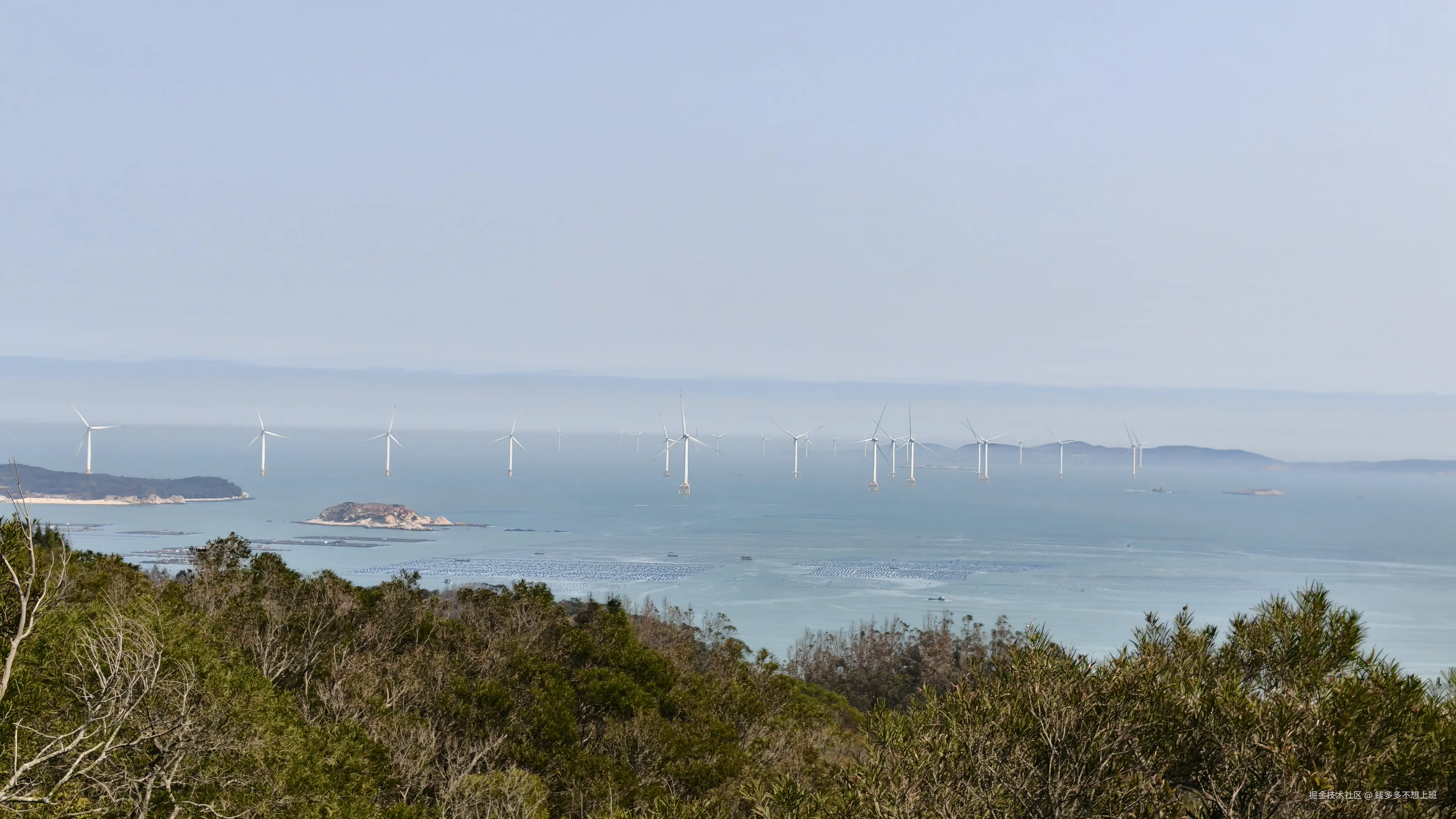 钱多多不想上班于2026-03-23 08:56发布的图片