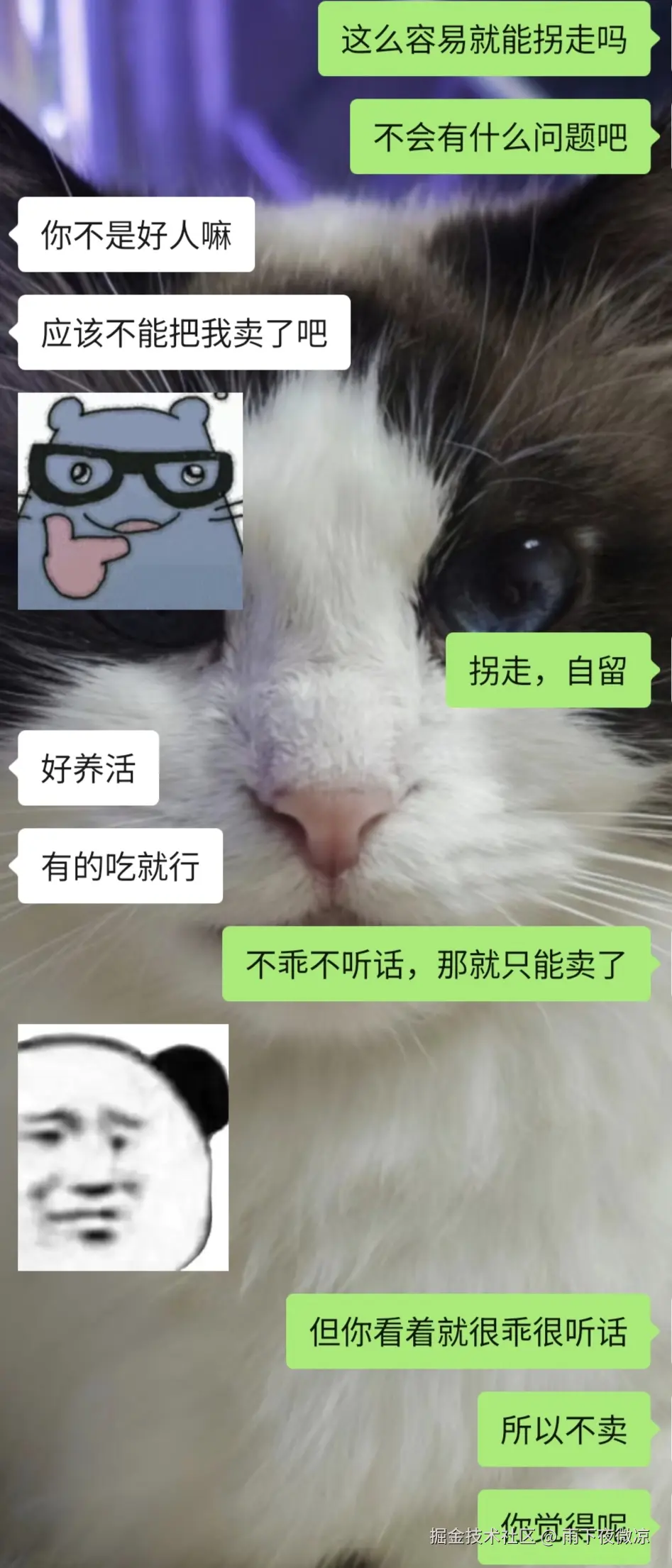 雨下夜微凉于2026-04-01 08:45发布的图片