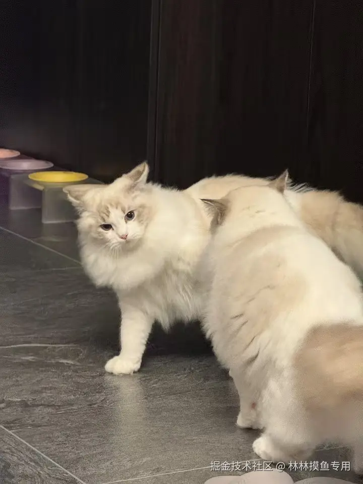 林林摸鱼专用于2024-11-01 14:24发布的图片