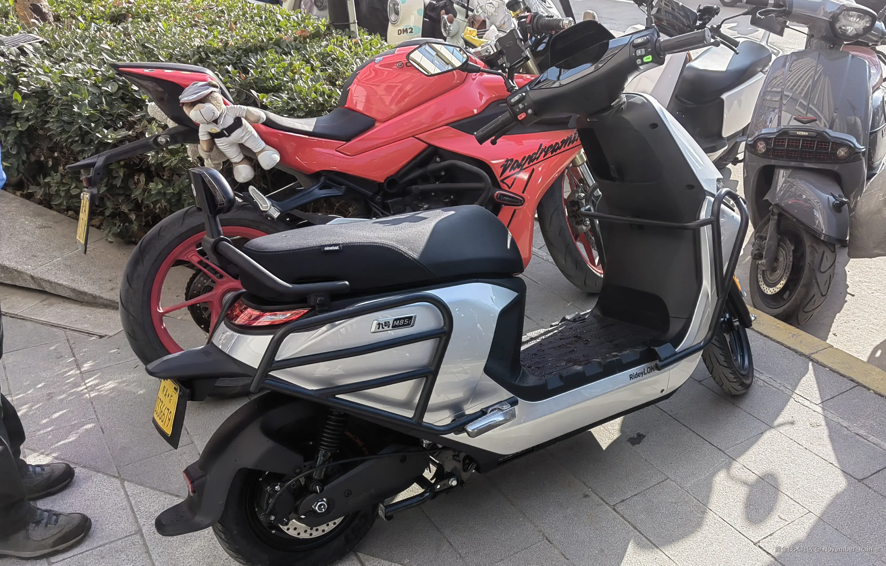 November_Rain于2024-12-16 11:27发布的图片