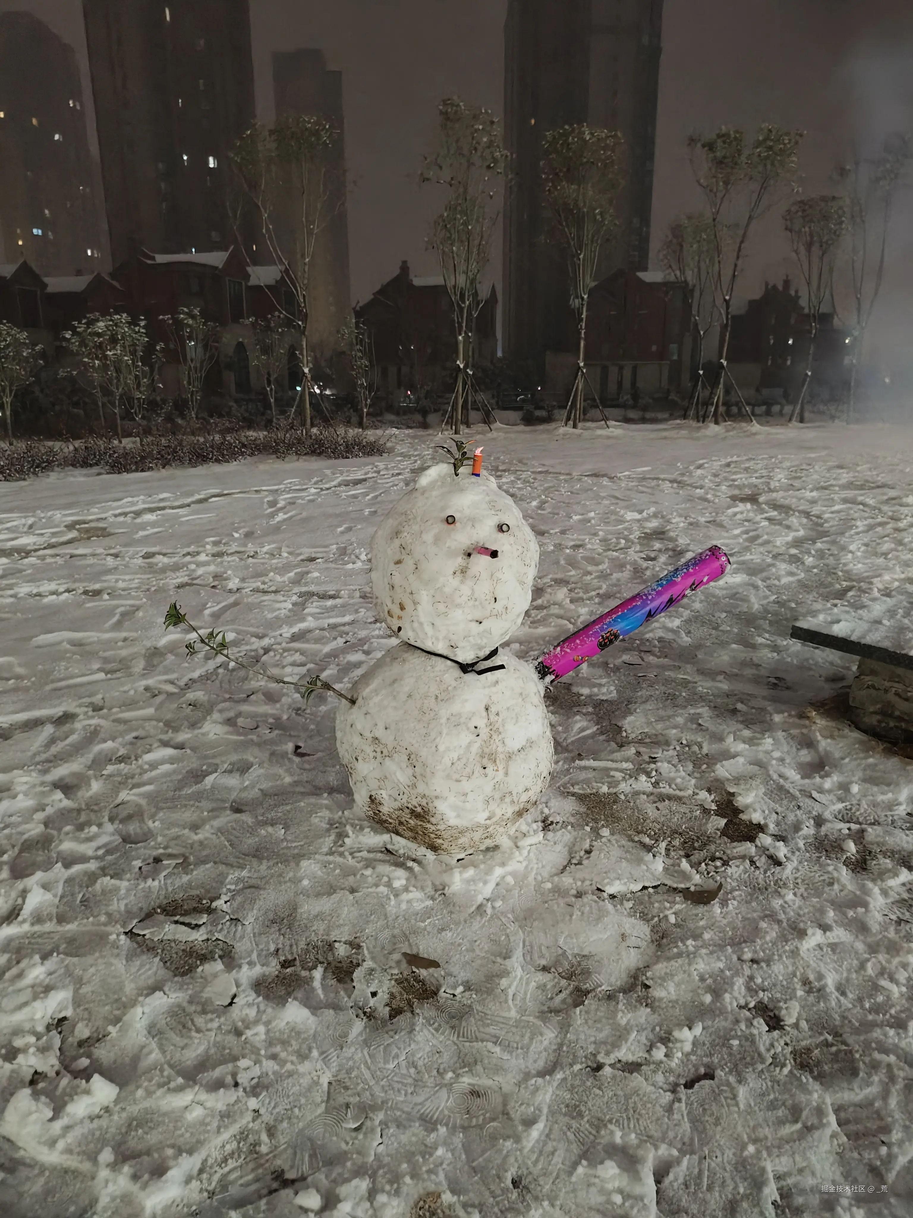 _荒于2025-01-31 23:15发布的图片