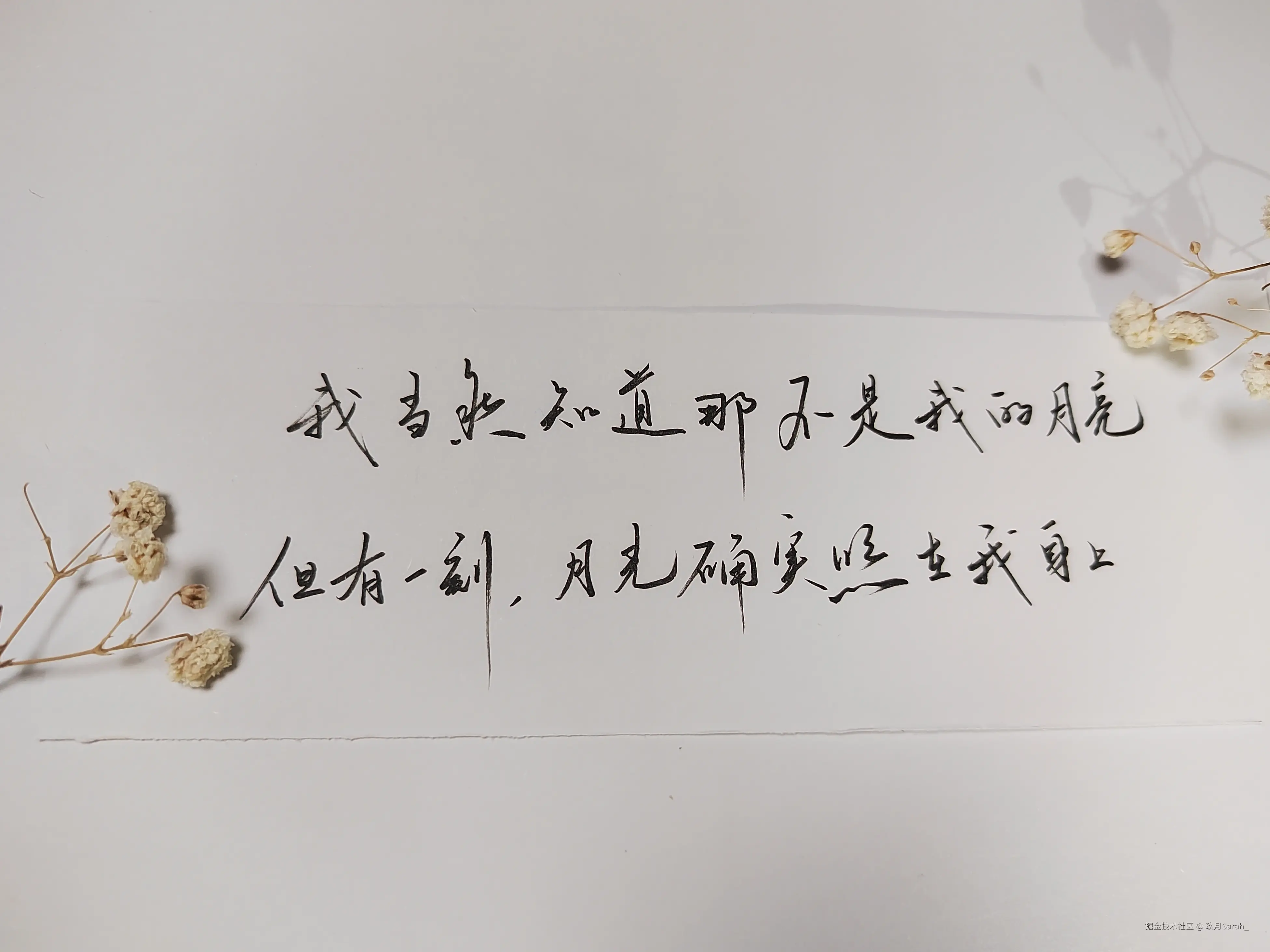 玖月Sarah_于2024-10-30 13:56发布的图片