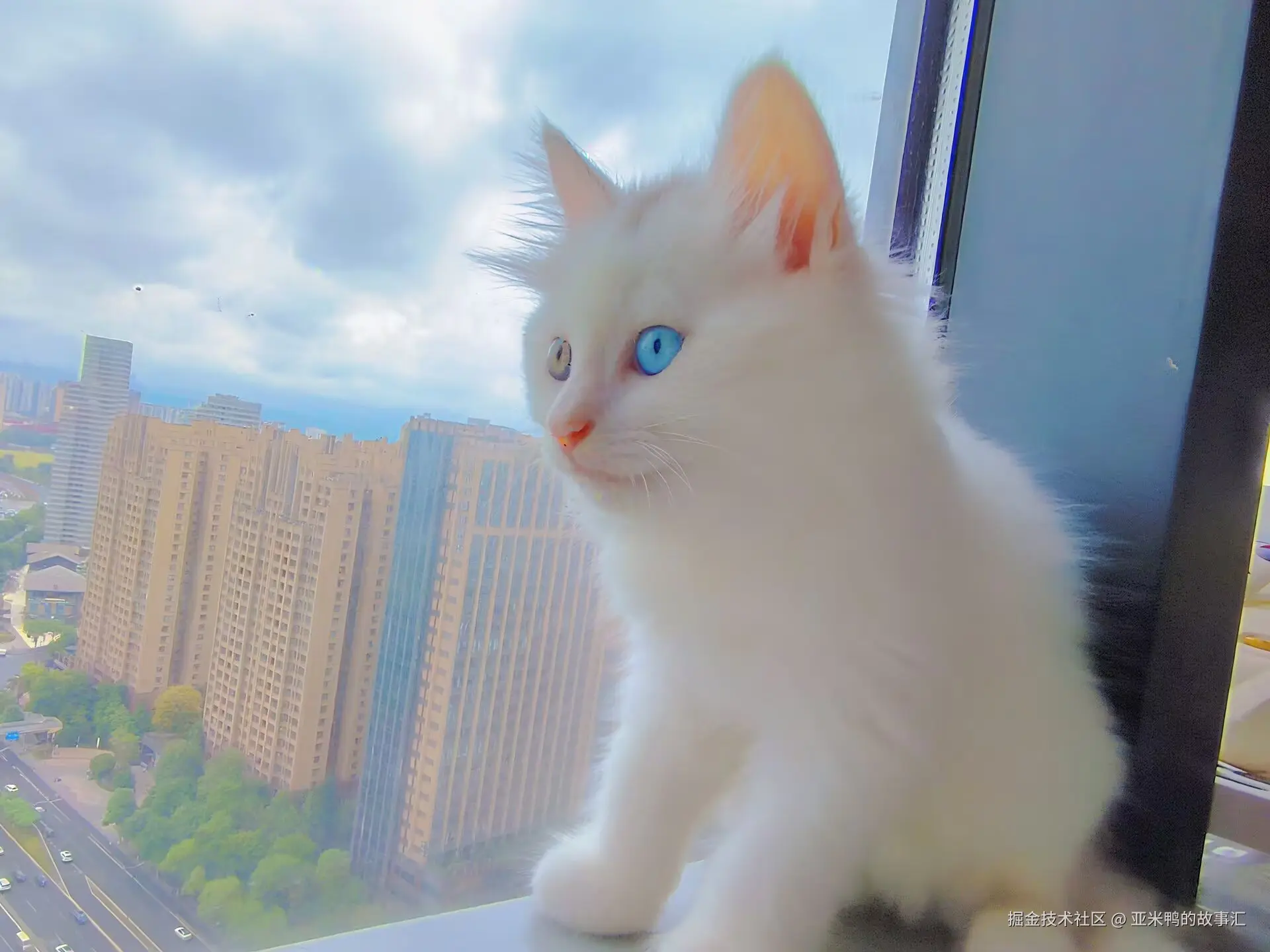 亚米鸭的故事汇于2025-06-19 11:05发布的图片