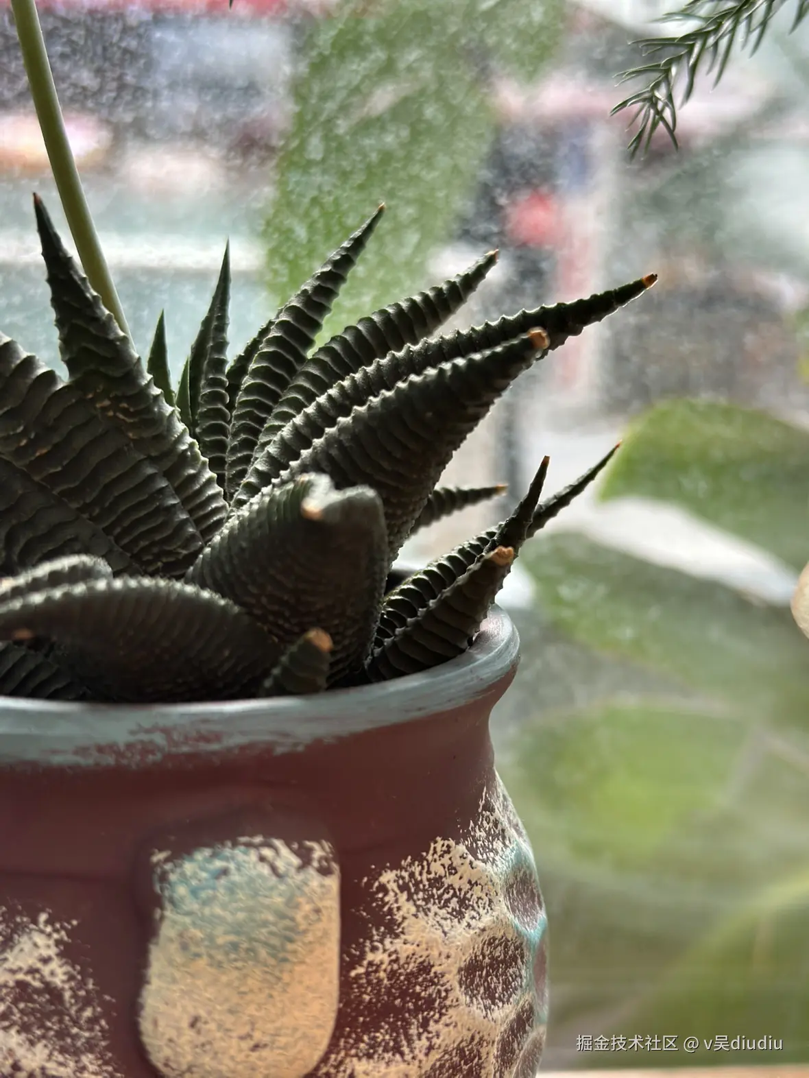 v吴diudiu于2025-08-24 14:11发布的图片