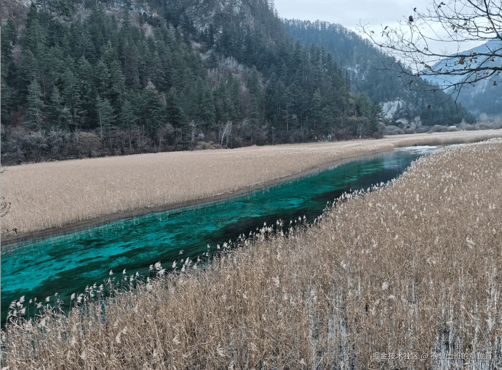 不想上班的章鱼哥于2025-12-09 17:55发布的图片