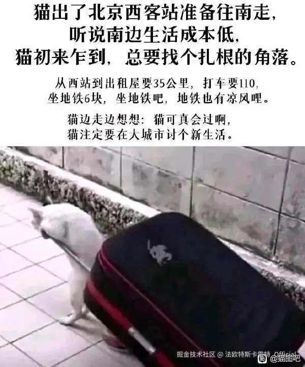 法欧特斯卡雷特_Official于2025-07-11 02:46发布的图片