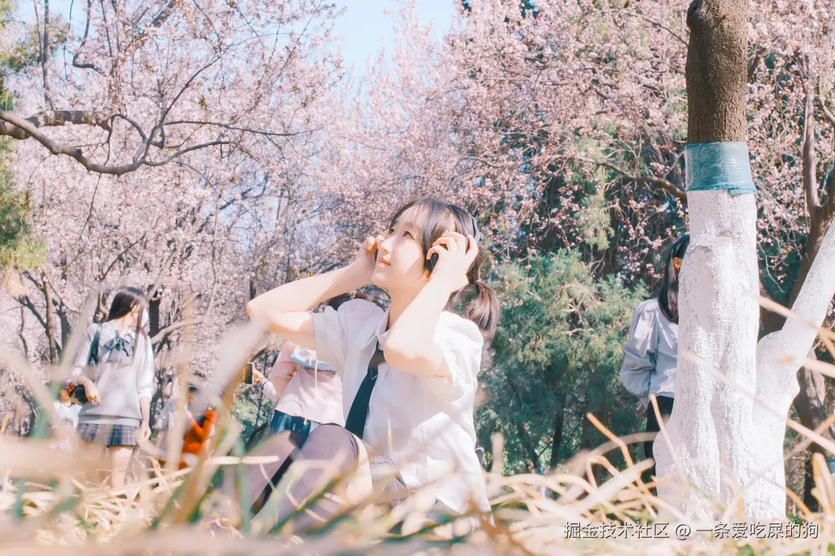 一条爱吃屎的狗于2025-03-24 15:49发布的图片