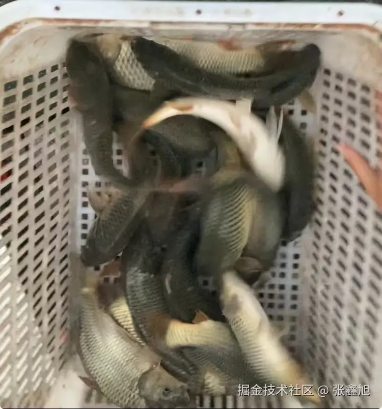 张鑫旭于2024-10-28 04:01发布的图片