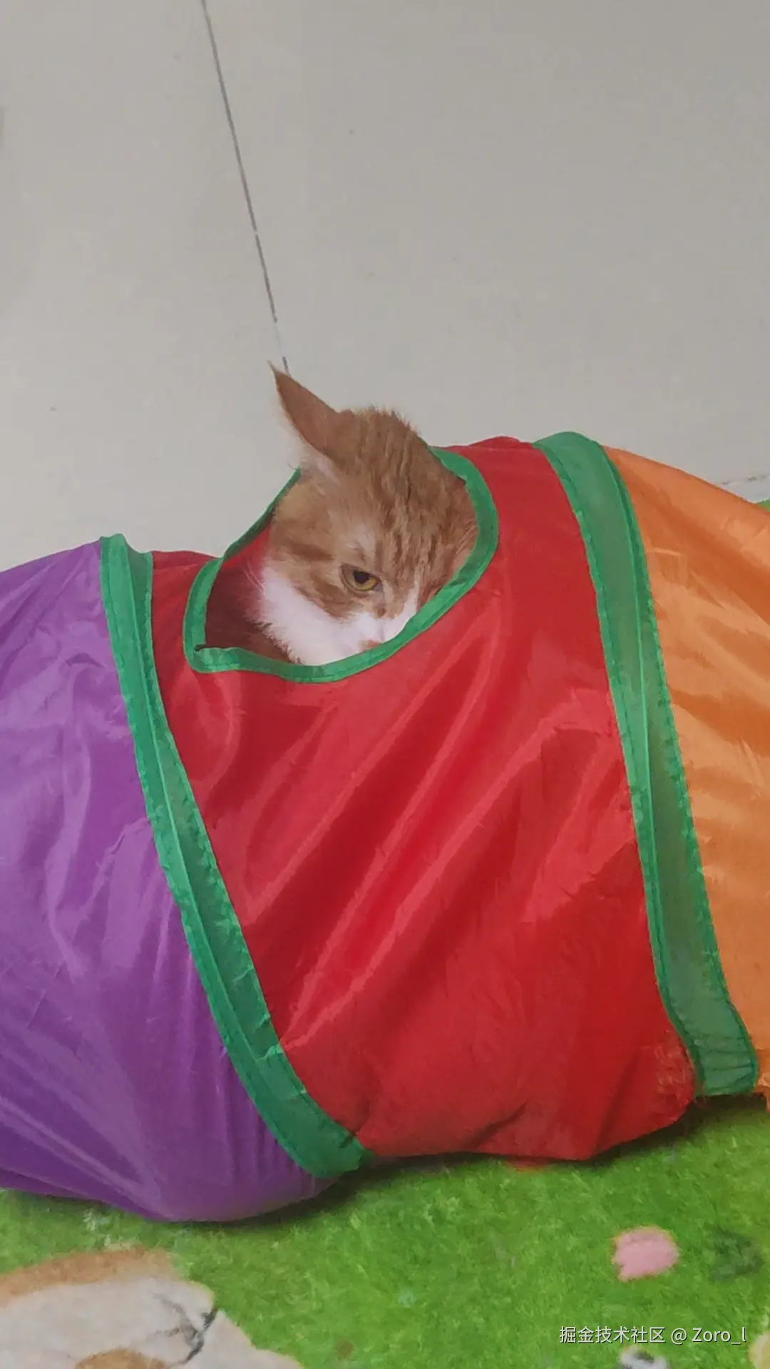 Zoro_l于2025-12-04 11:51发布的图片