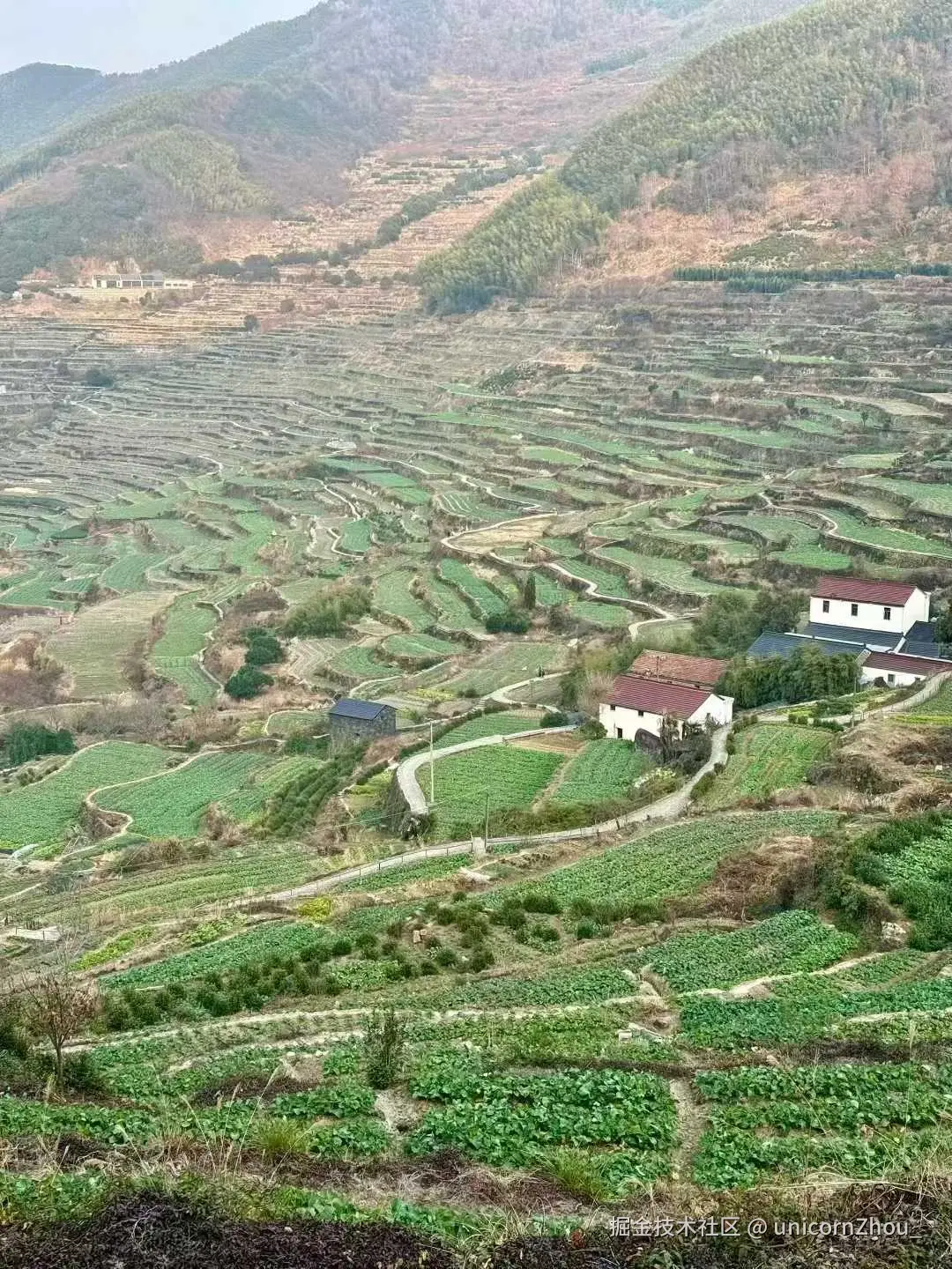 unicornZhou_于2026-01-19 10:32发布的图片