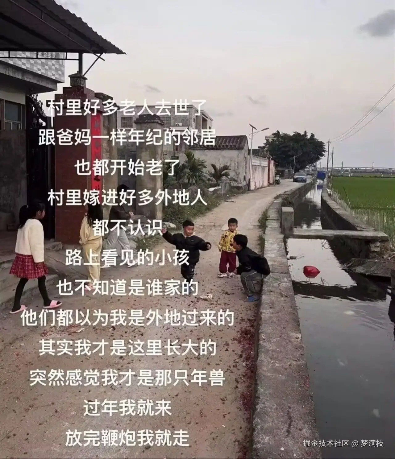 梦满枝于2026-02-09 15:18发布的图片