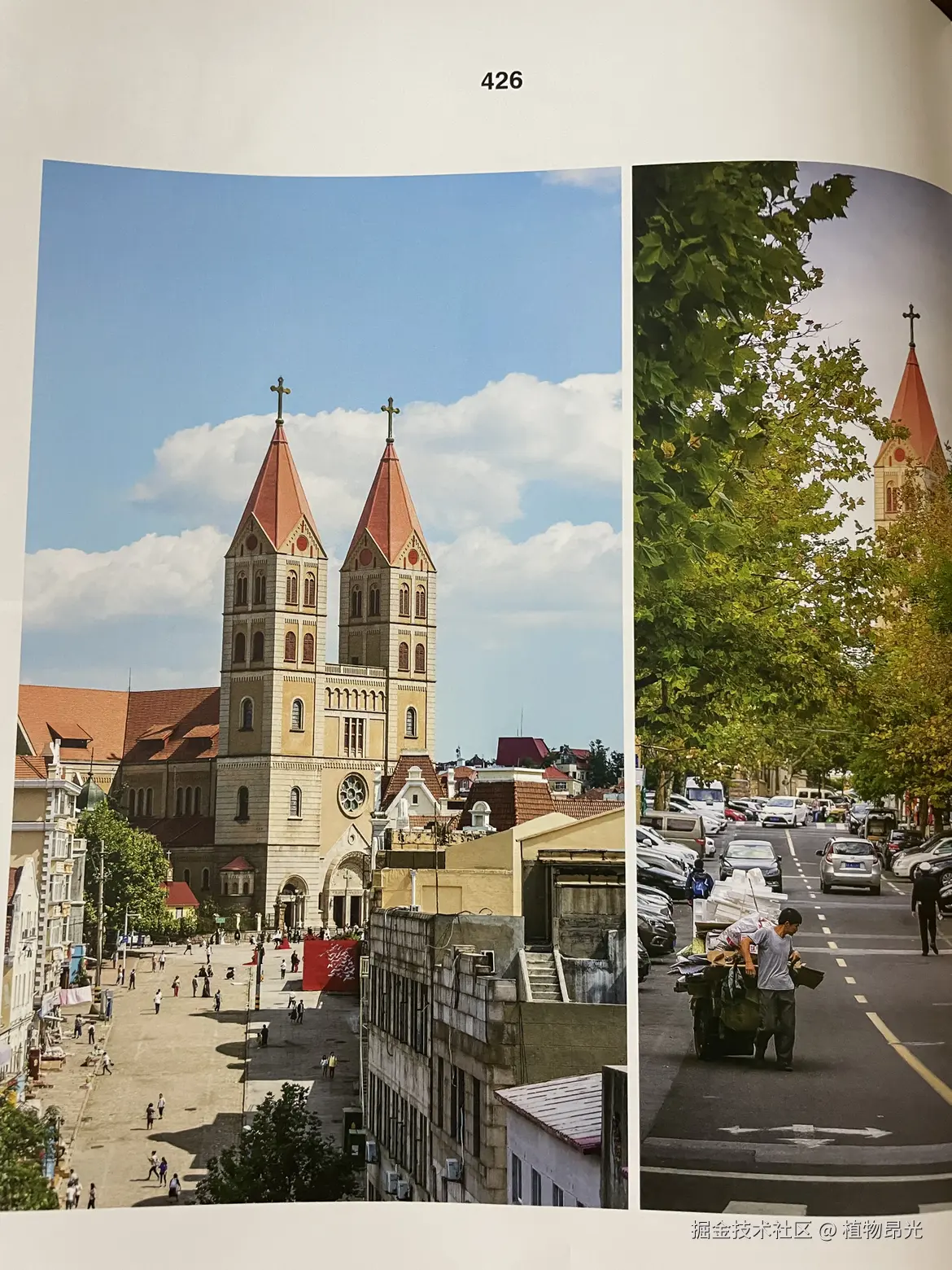 植物昂光于2026-04-23 21:31发布的图片