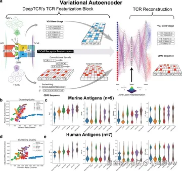 小白狮ww于2025-11-18 18:57发布的图片