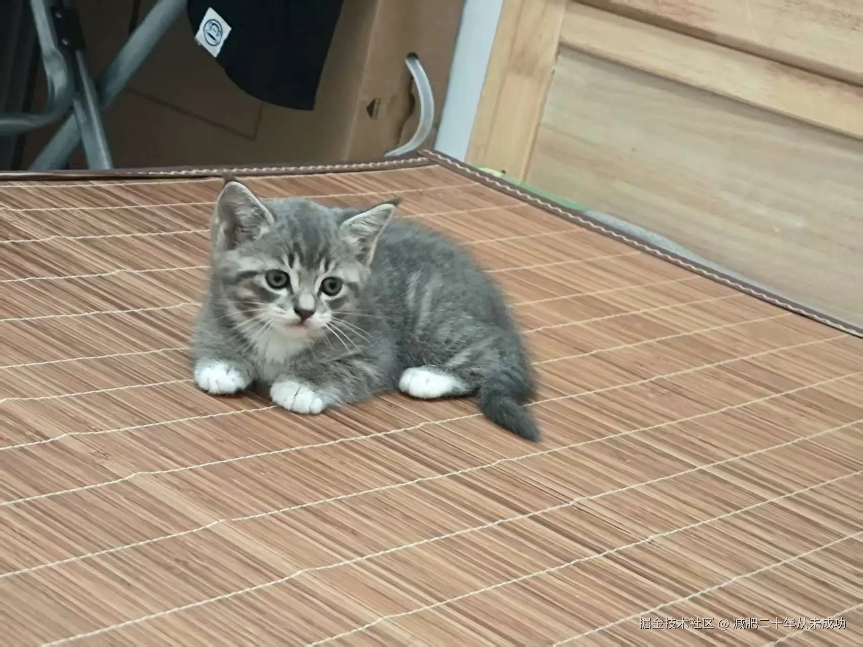 减肥二十年从未成功于2025-08-18 09:41发布的图片