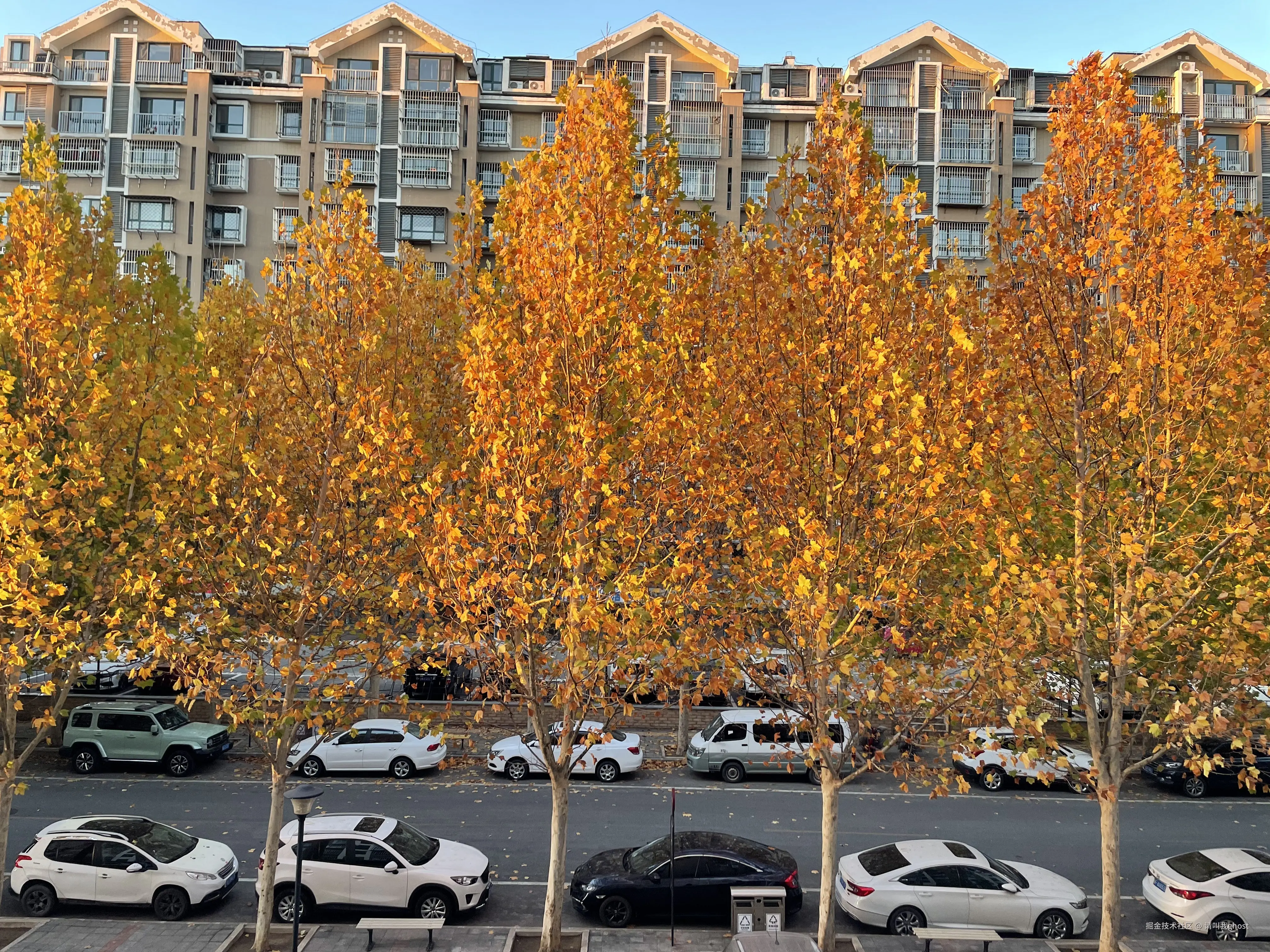 请叫我ghost于2025-11-10 05:14发布的图片