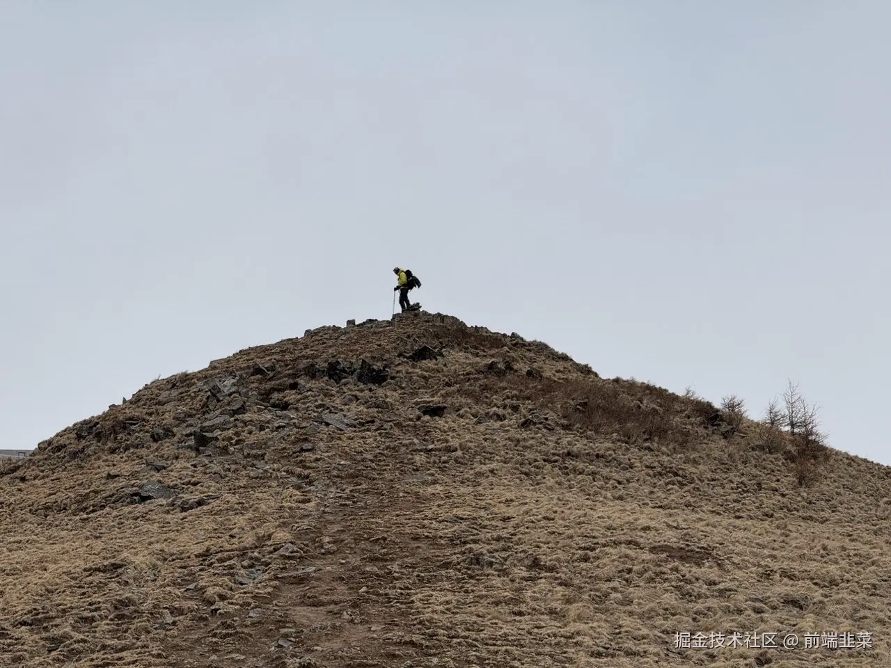 前端韭菜于2025-04-08 15:54发布的图片