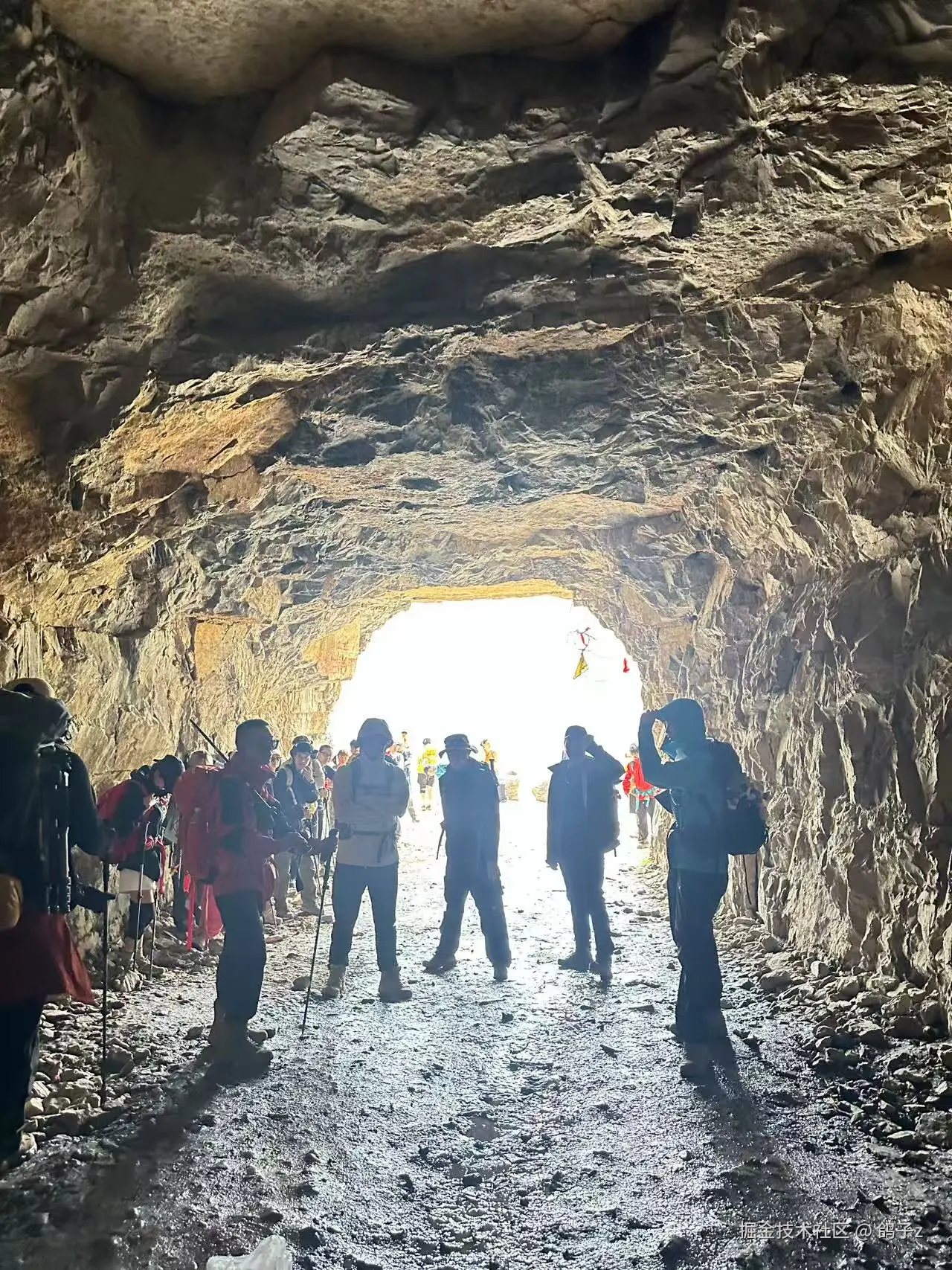 鸽子z于2025-06-16 09:27发布的图片