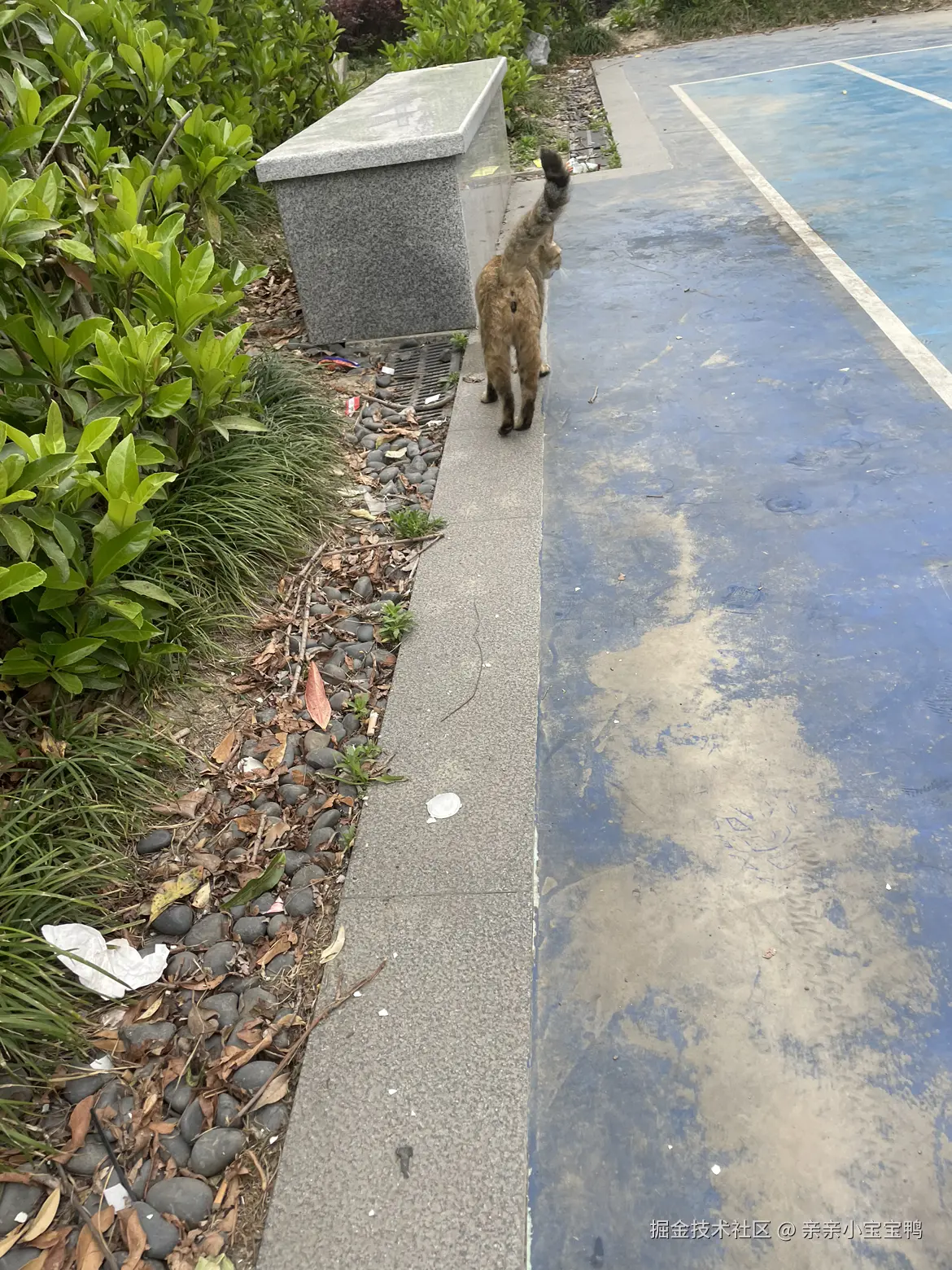 亲亲小宝宝鸭于2025-04-22 14:05发布的图片