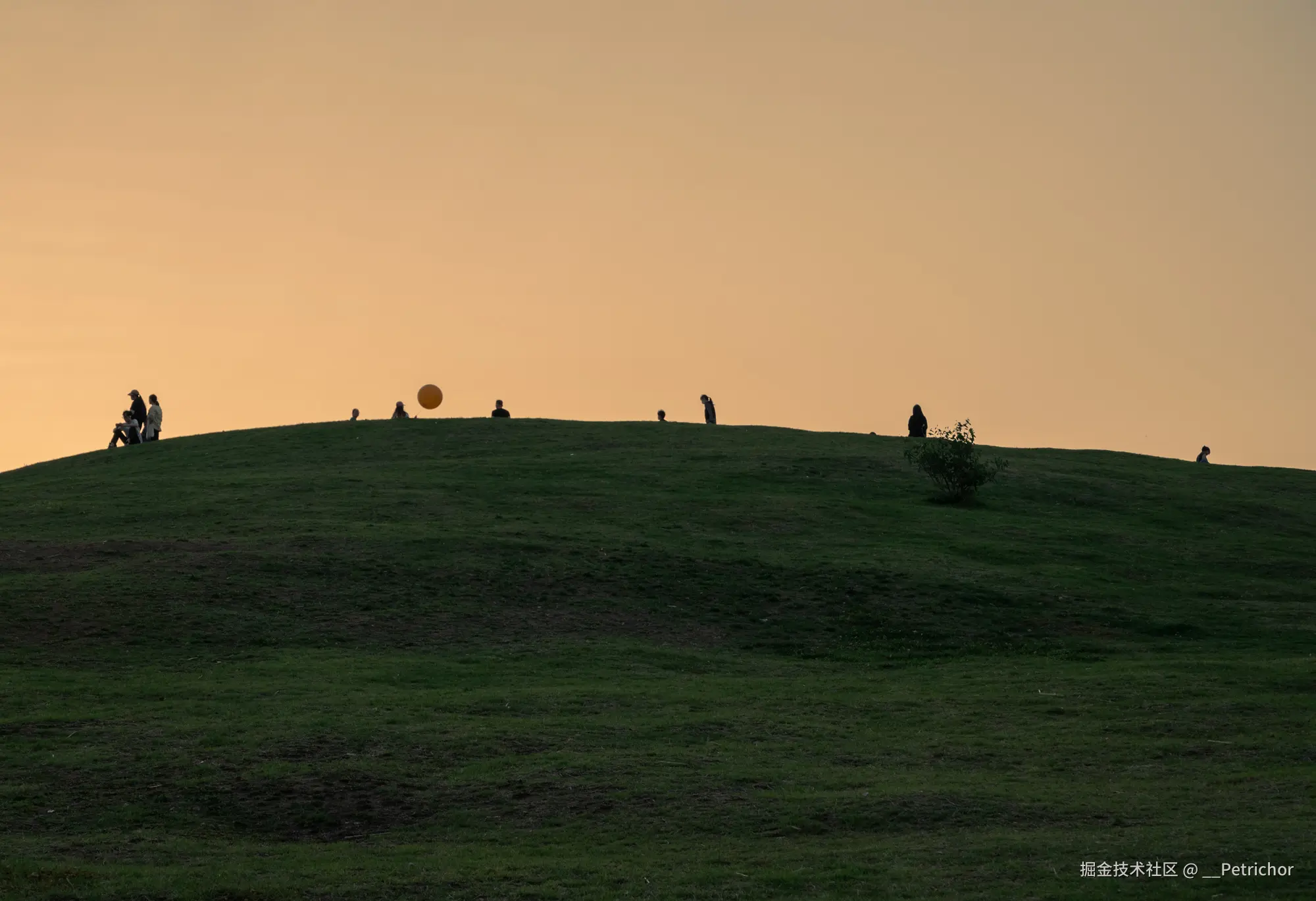 __Petrichor于2025-04-21 13:42发布的图片