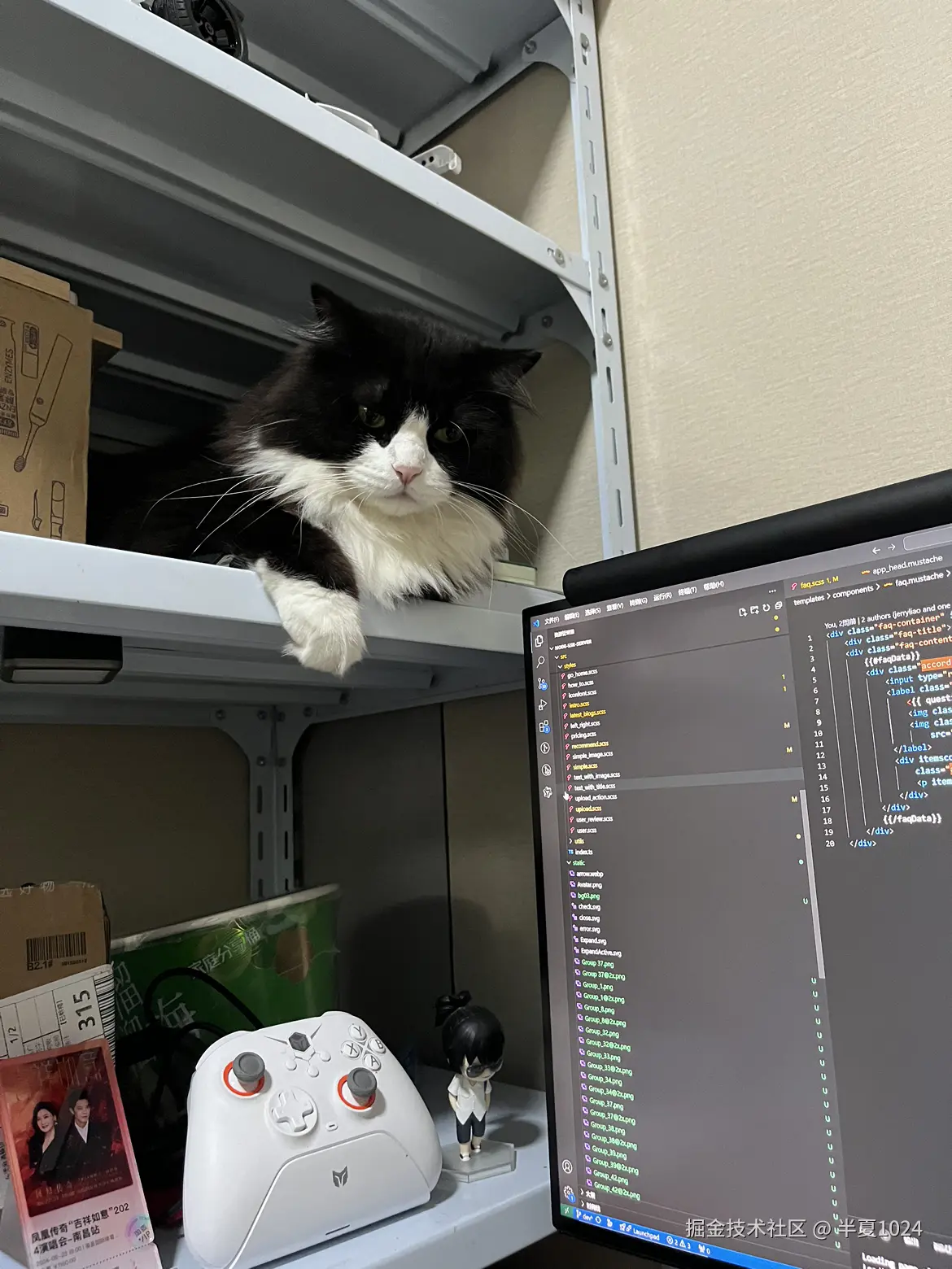 半夏1024于2024-08-05 09:56发布的图片