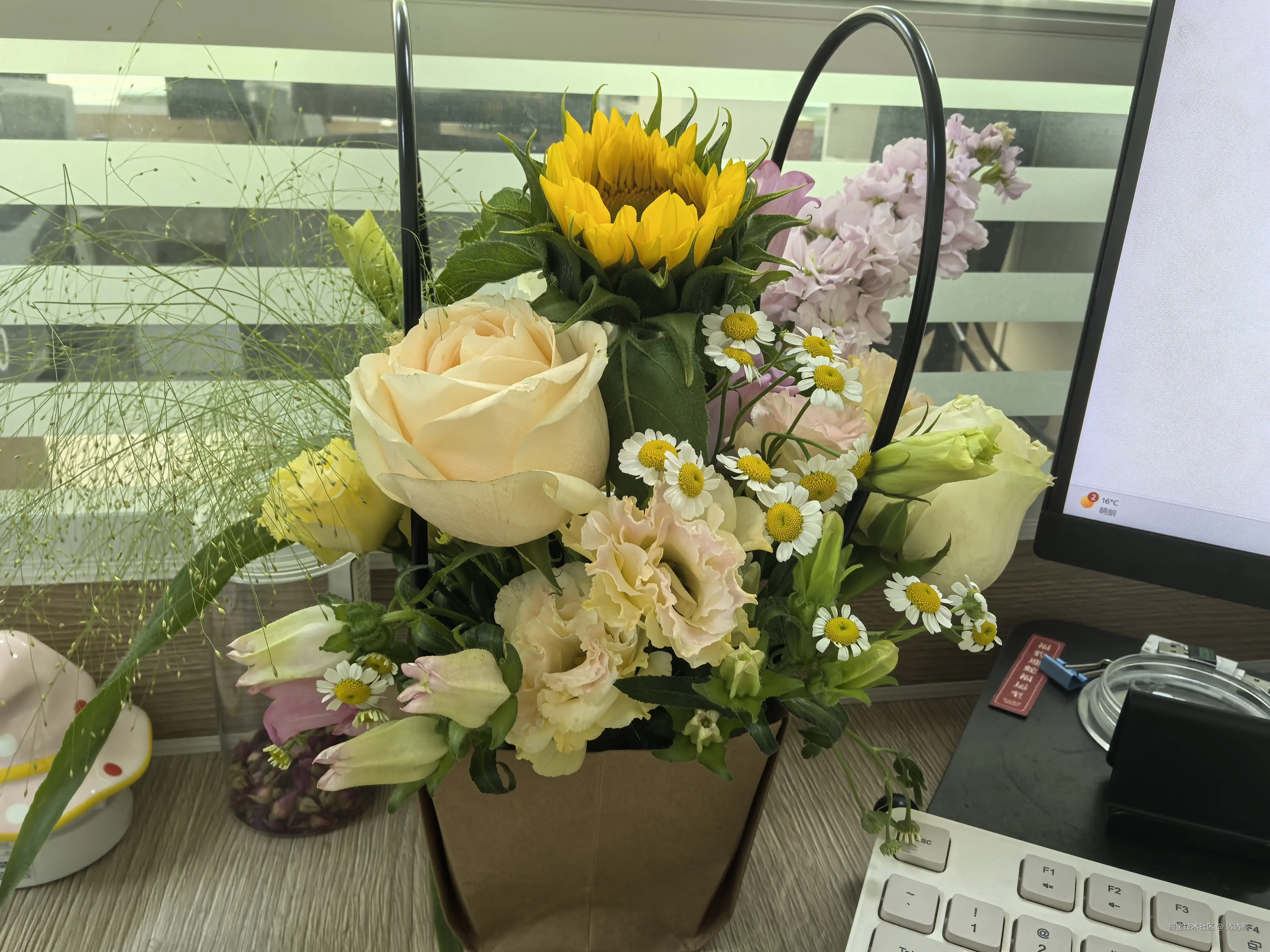 达达鸭于2026-03-06 09:42发布的图片