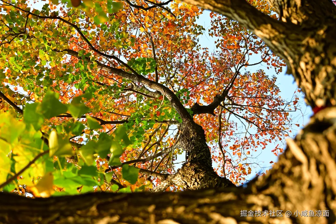 小咸鱼凉面于2025-11-17 13:47发布的图片