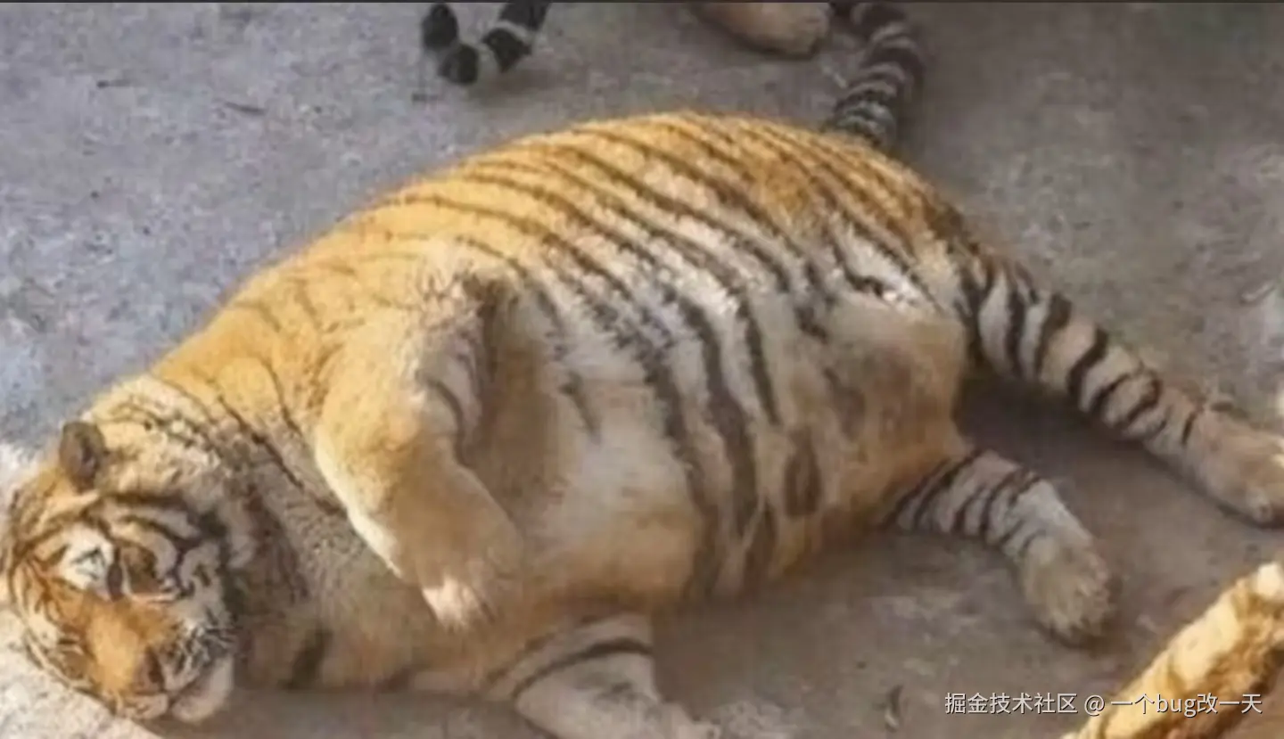 一个bug改一天于2024-08-20 10:23发布的图片