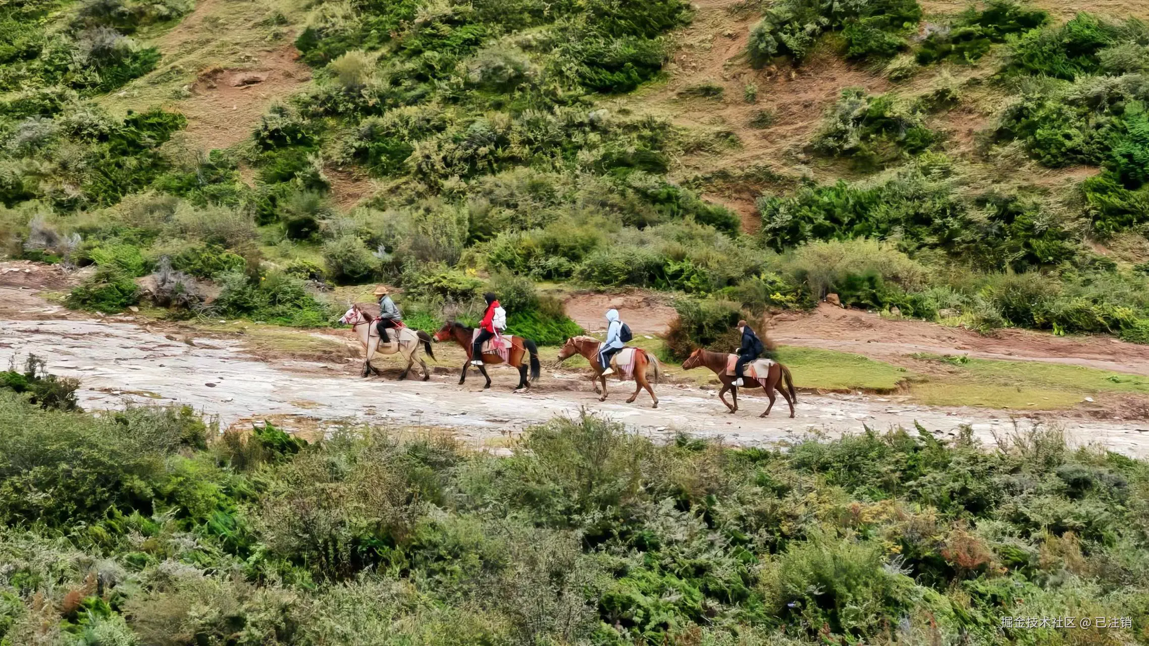 已注销于2024-09-18 08:39发布的图片