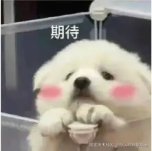 什么时候星期五于2026-04-15 09:48发布的图片